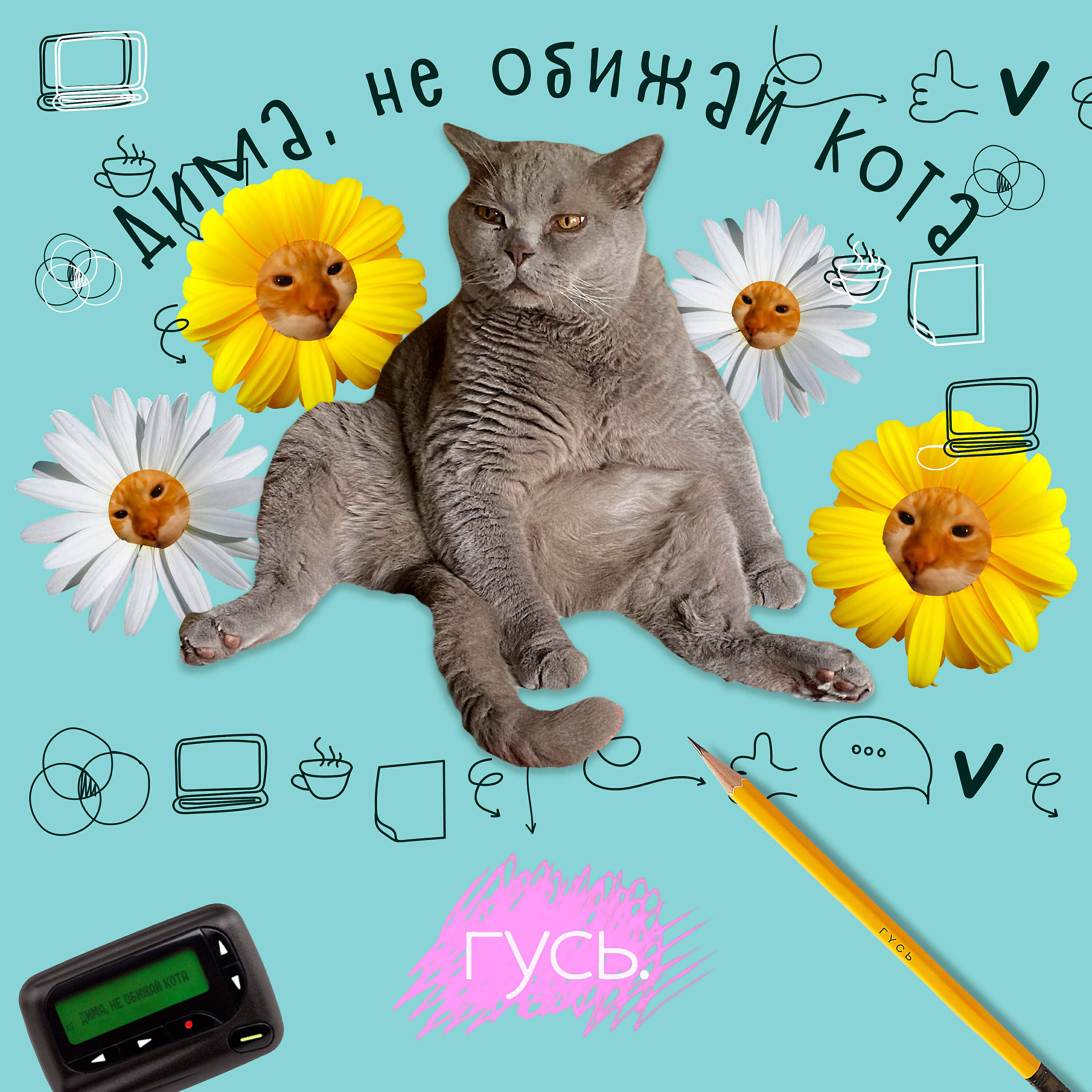 Релиз Дима, не обижай кота