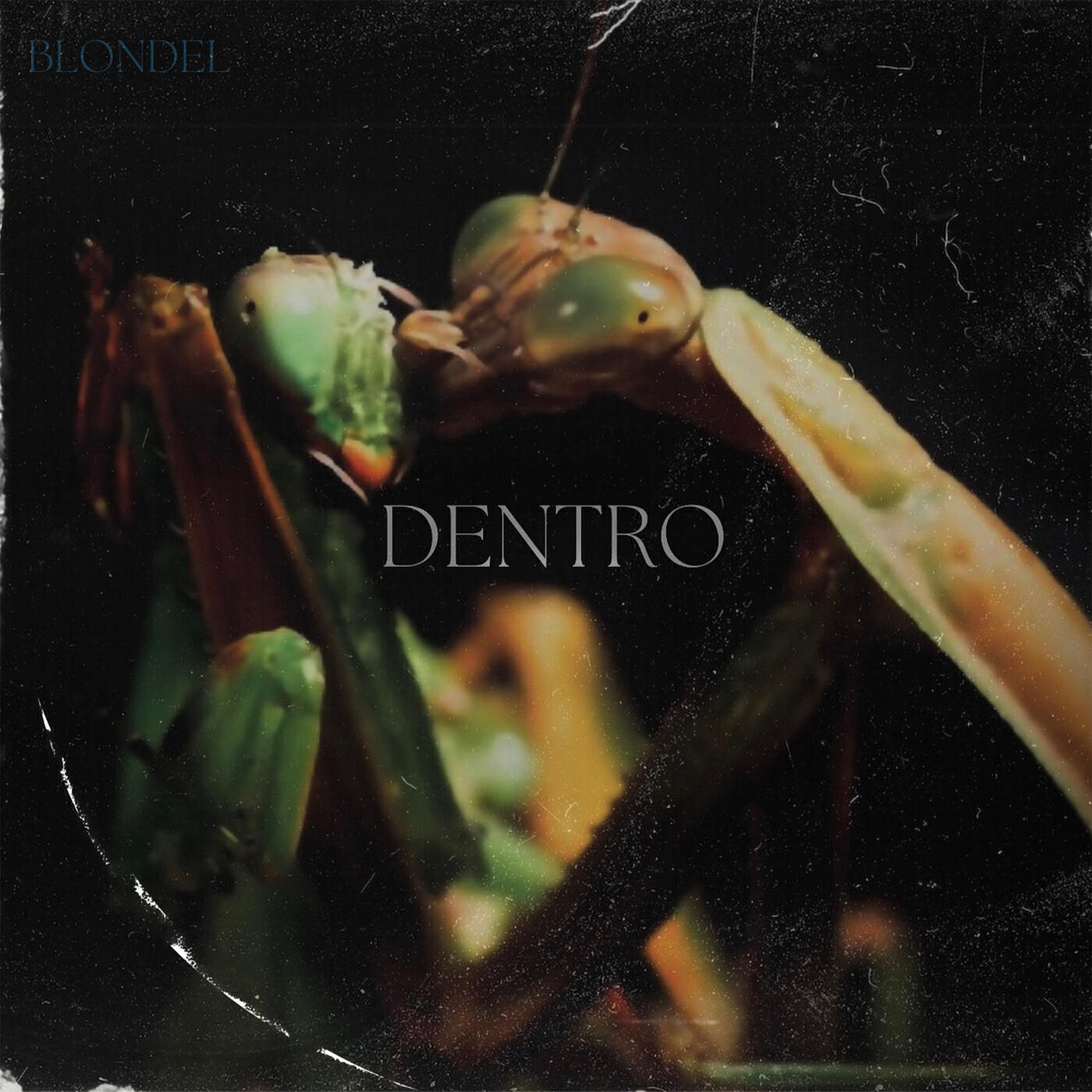 Релиз Dentro