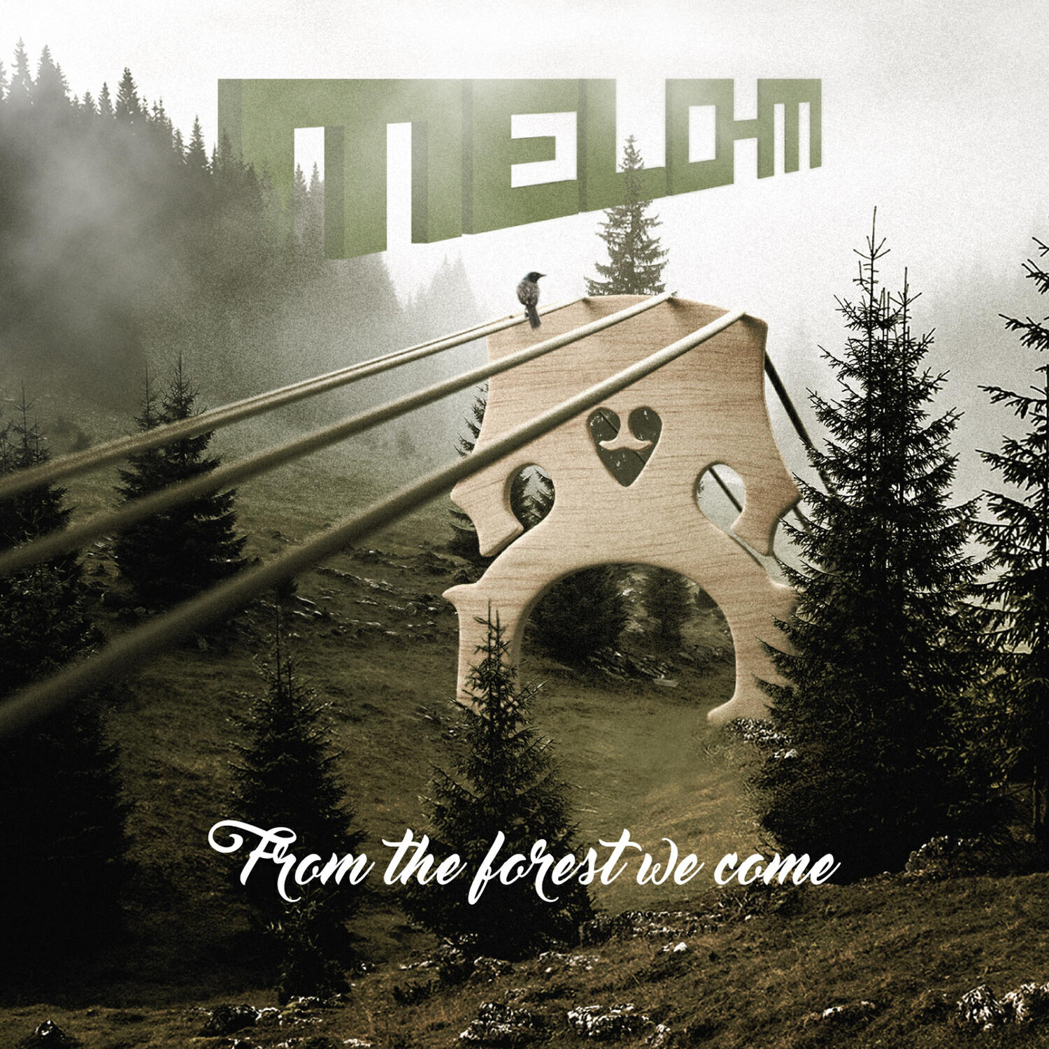 Релиз From the Forest We Come