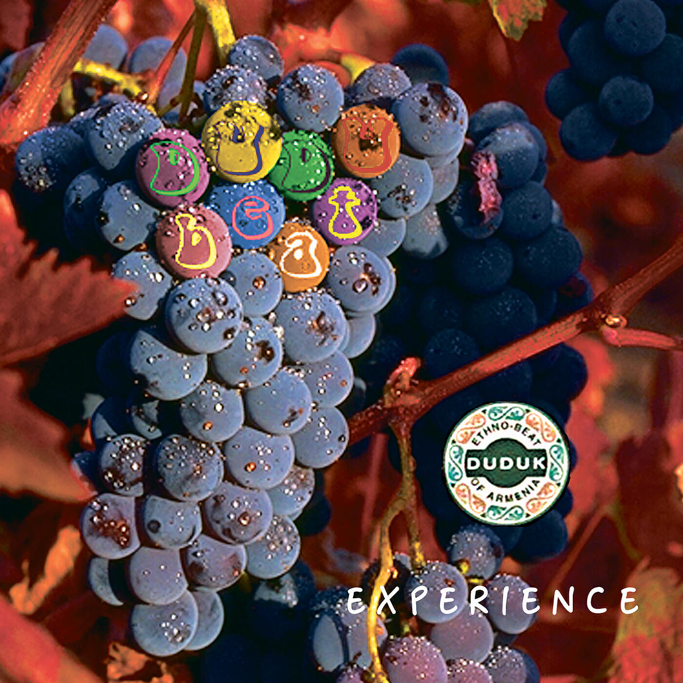 Релиз Experience