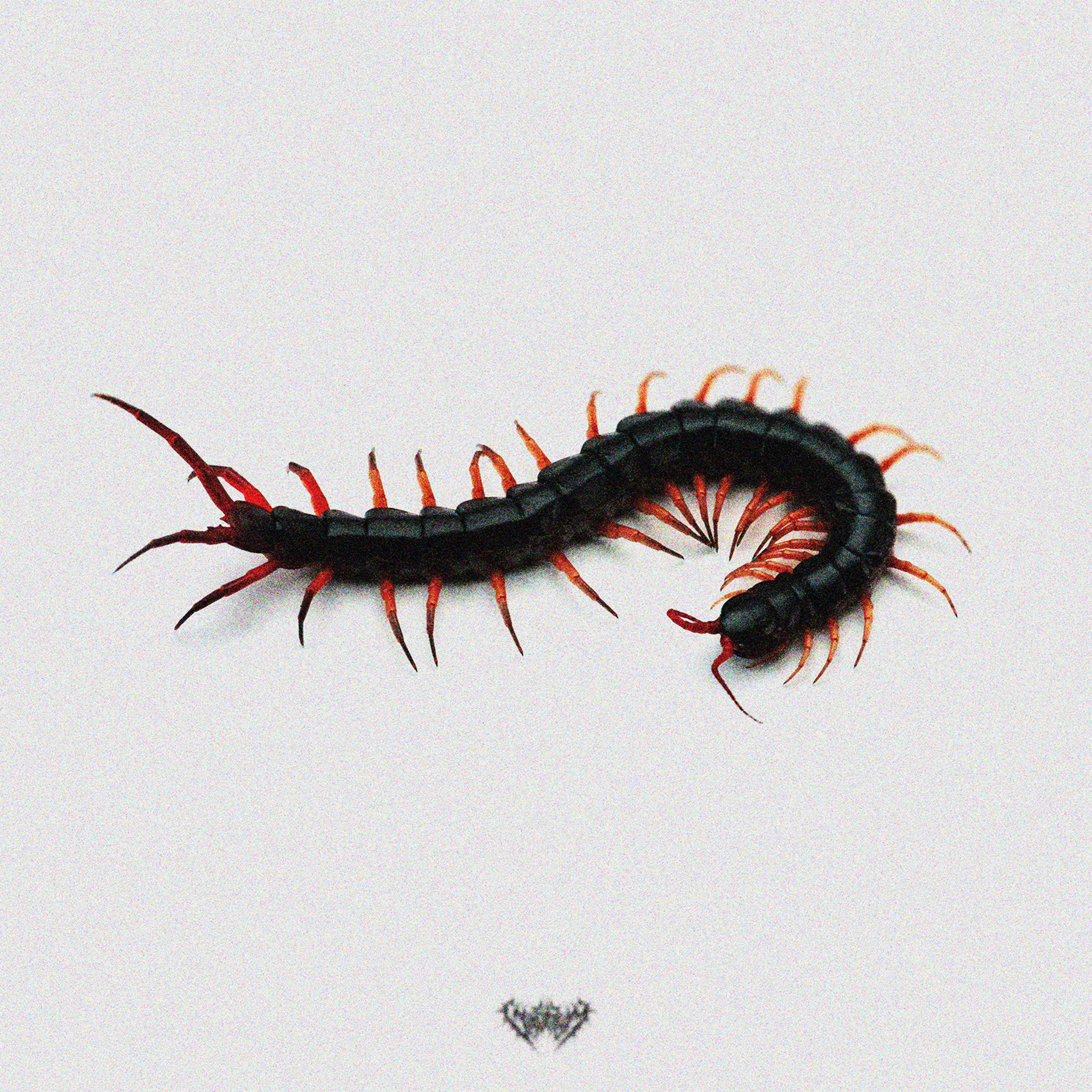 Релиз GUTTER