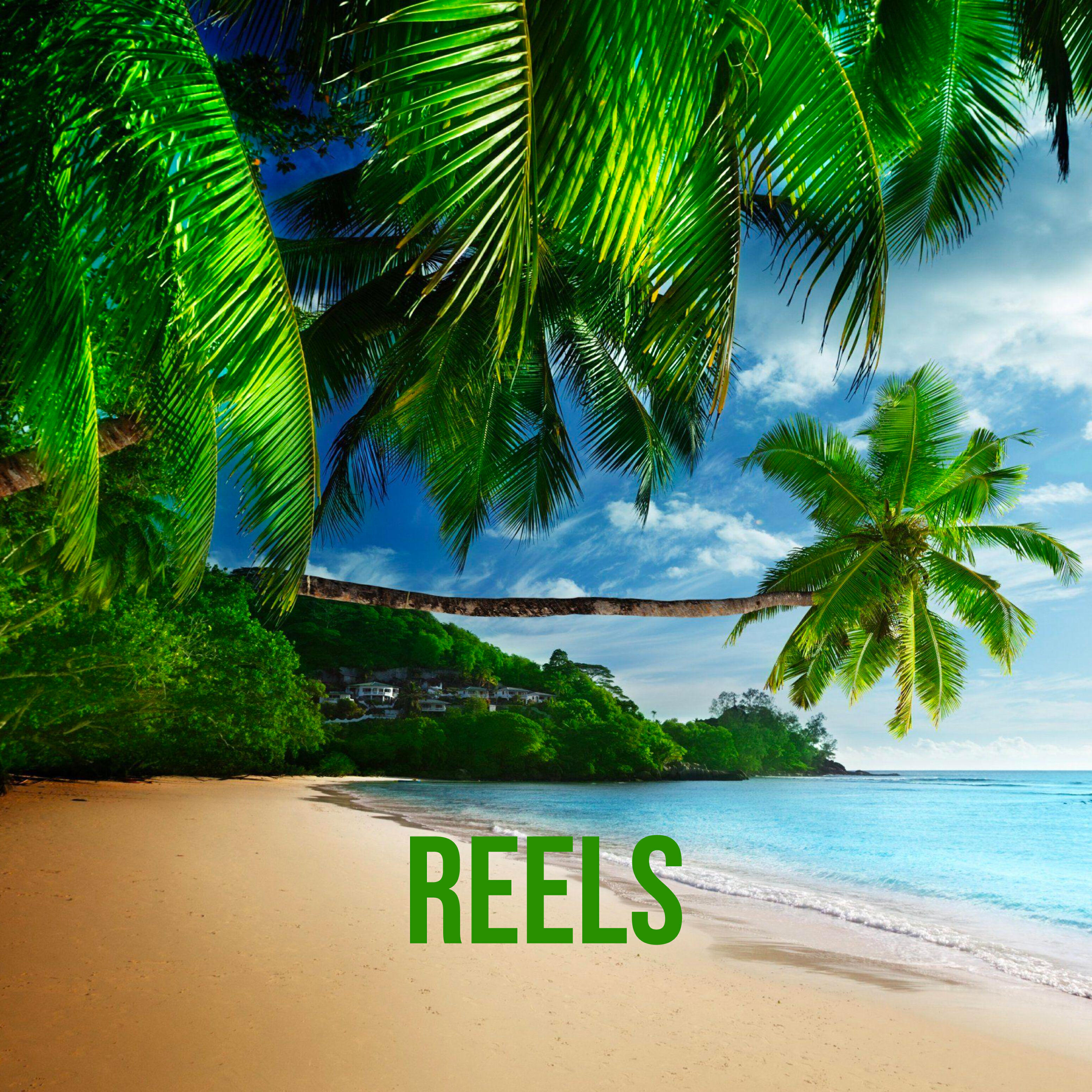 Релиз Reels