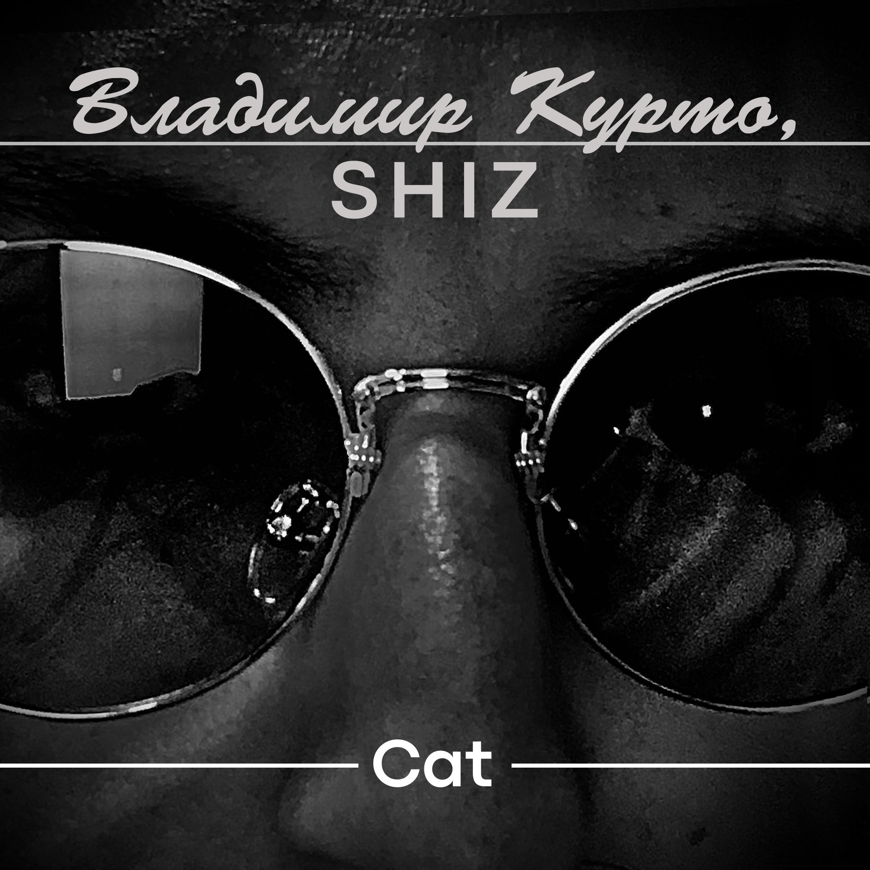 Релиз Cat