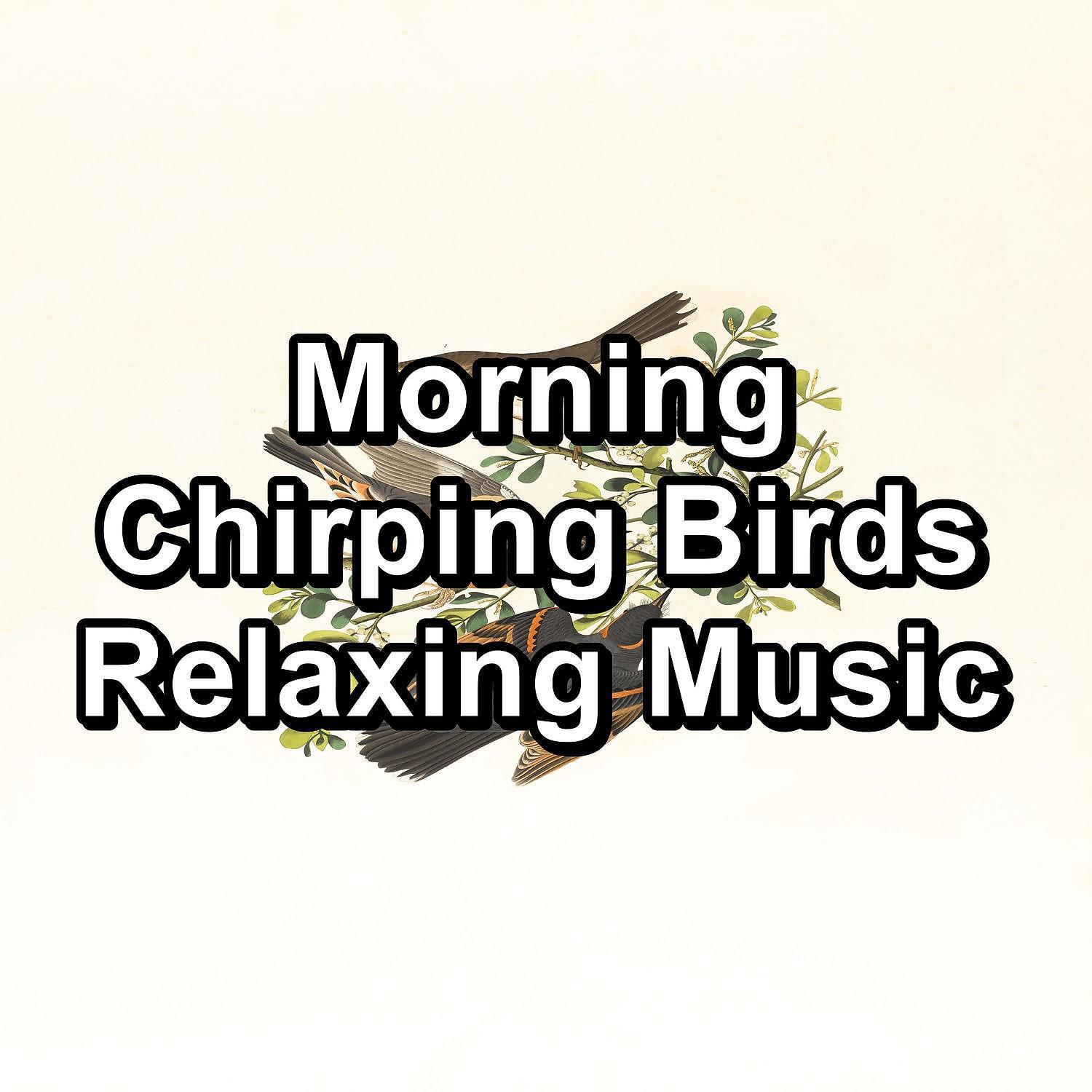 Релиз Morning Chirping Birds Relaxing Music
