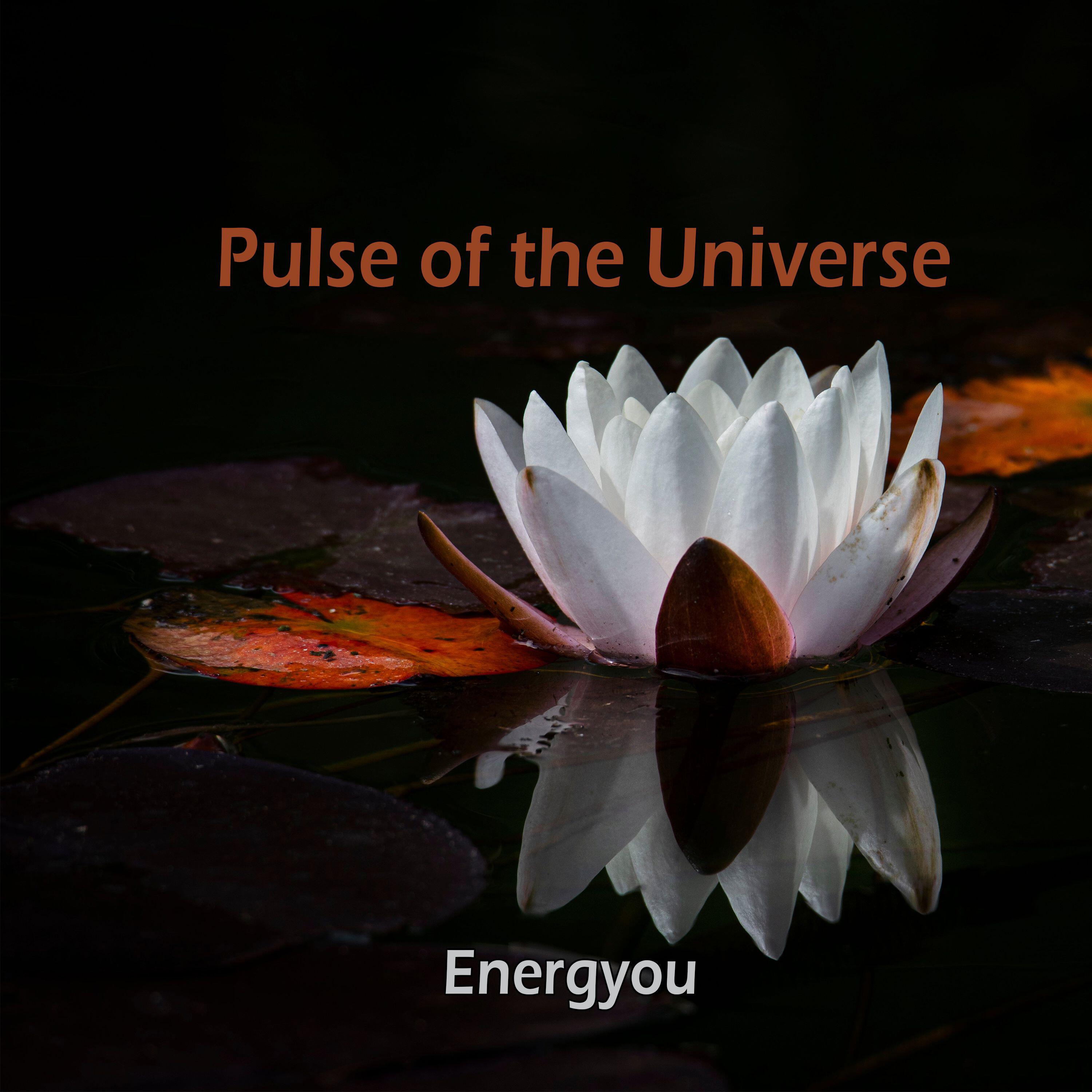 Energyou