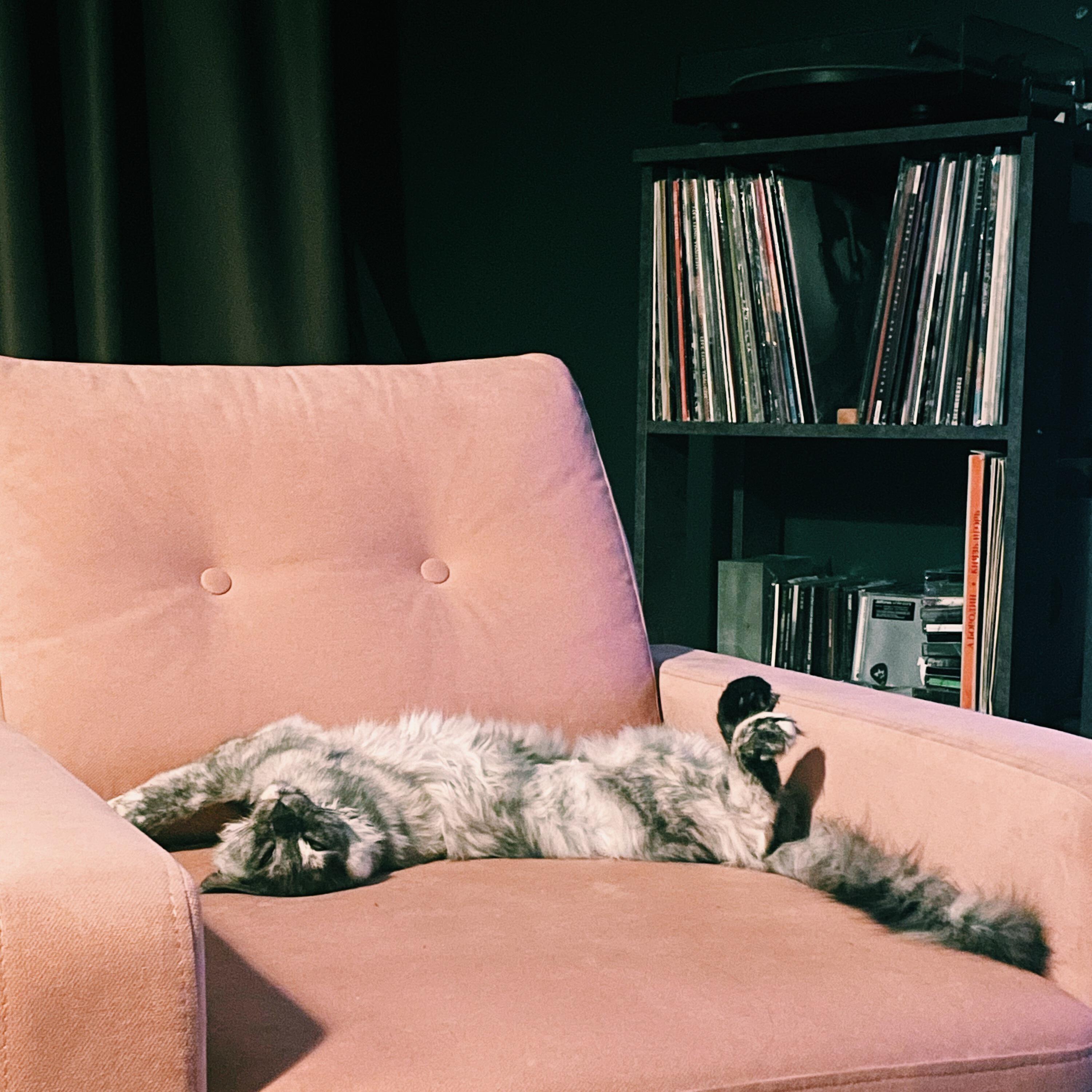 Релиз колыбельная таблеток