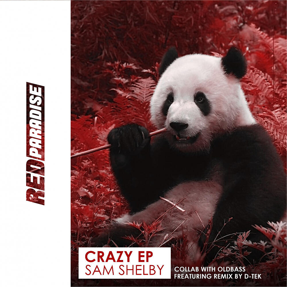 Постер альбома Crazy