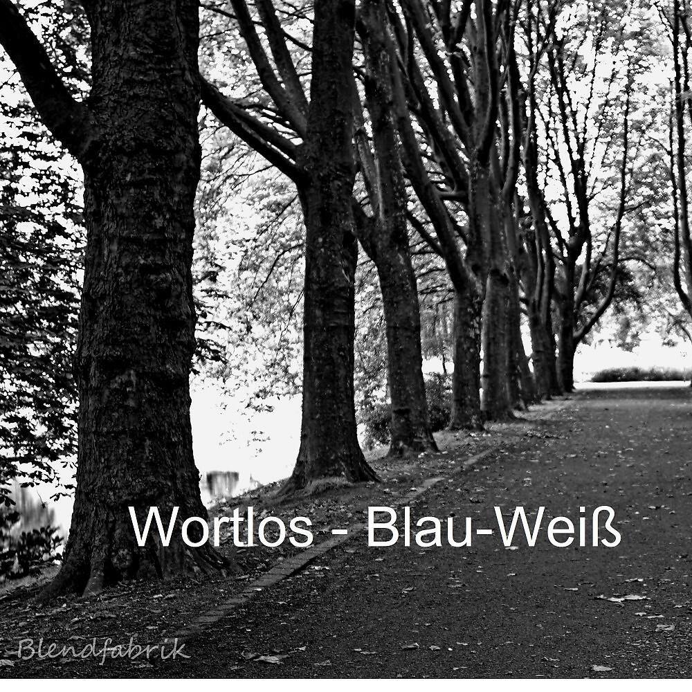 Релиз Blau-Weiß