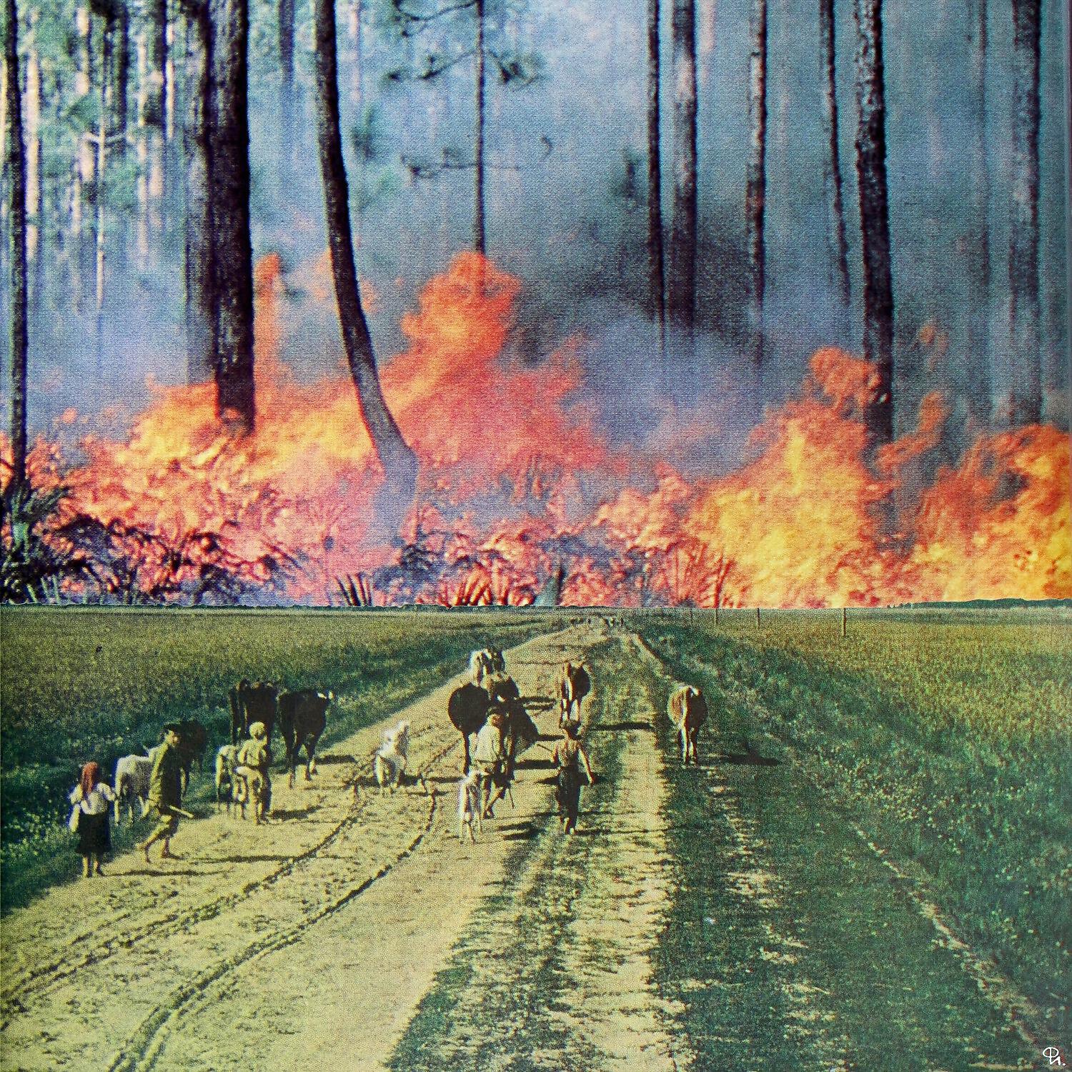 Релиз Music for Burnouts