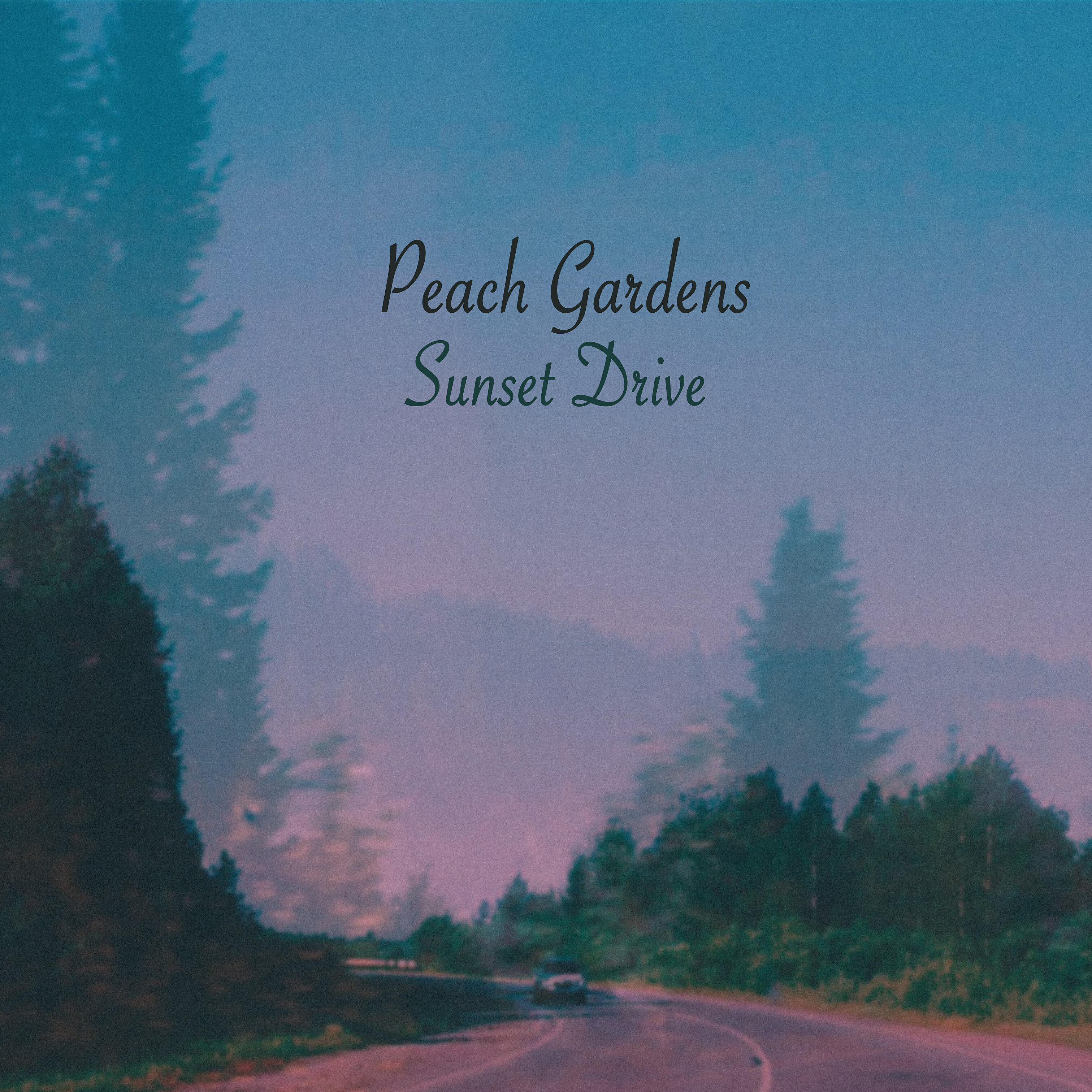 Релиз Sunset Drive