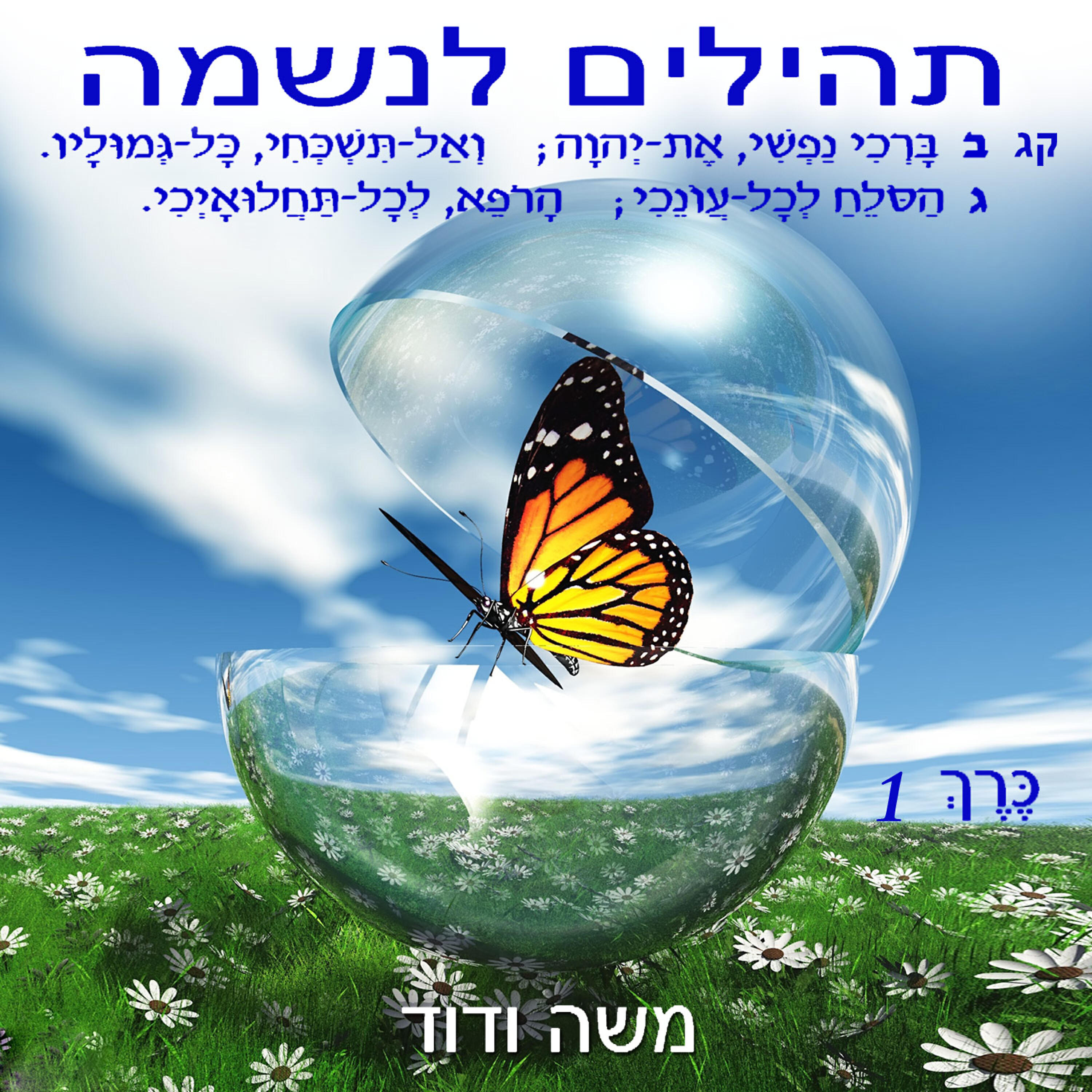 Релиз תהילים לנשמה, כֶּרֶךְ .1