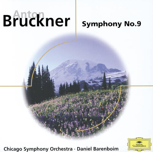 Релиз Bruckner: Symphony No. 9; Psalm 150
