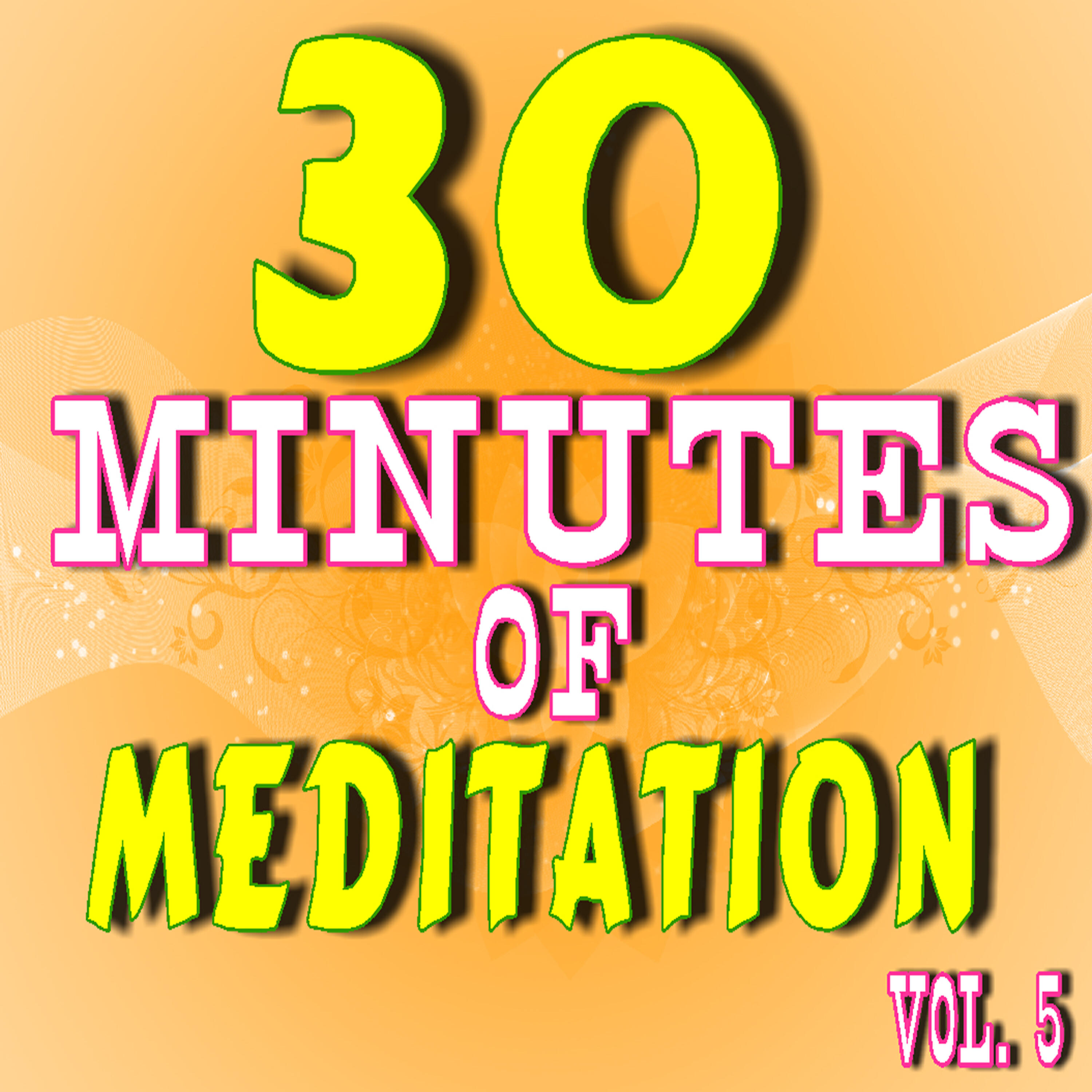 Релиз 30 Minutes of Meditation, Vol. 5 (Special Edition)