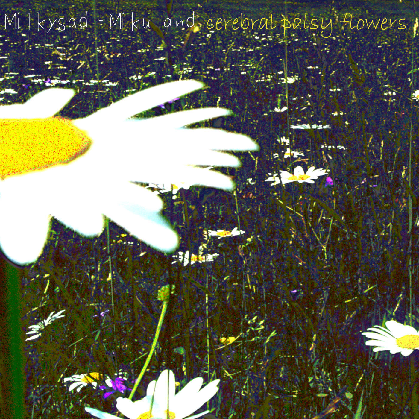 Релиз Miku and Cerebral Palsy Flowers