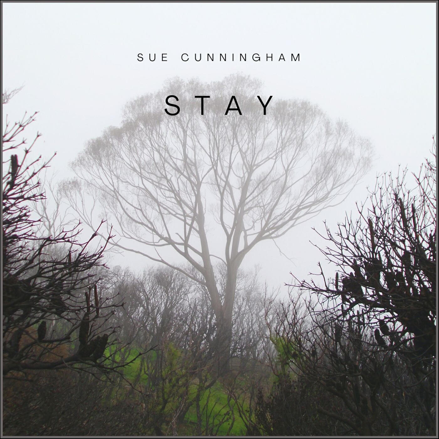 Sue Cunningham
