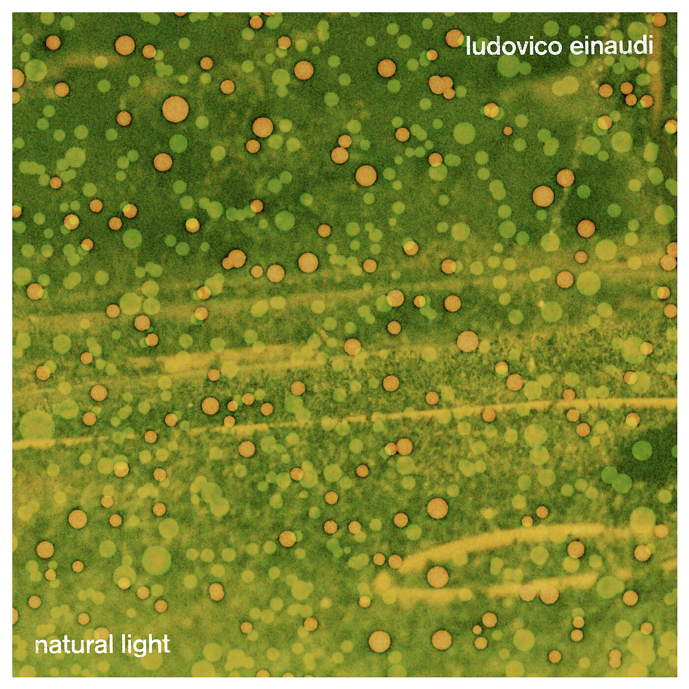 Релиз Natural Light