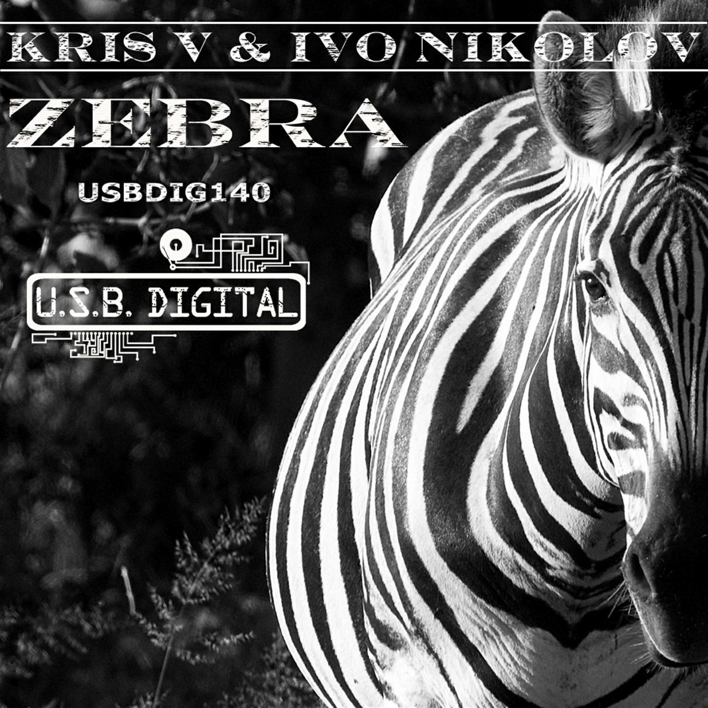 Релиз Zebra