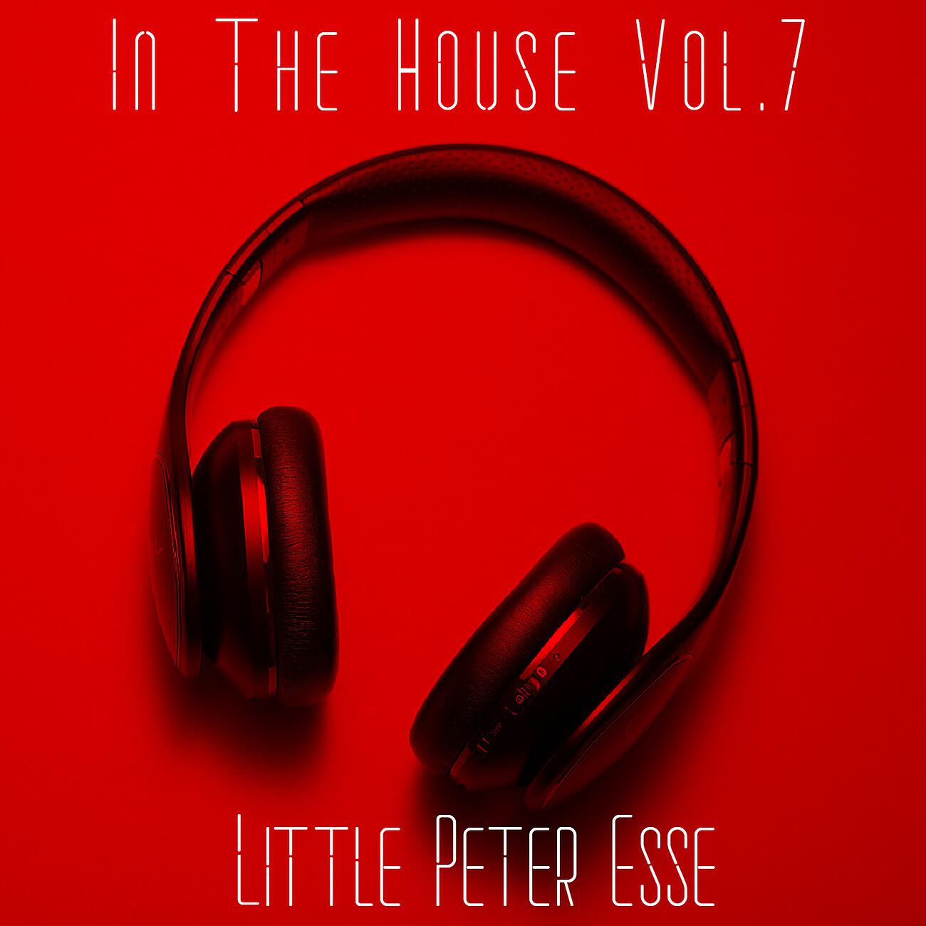 Релиз In The House Vol.7