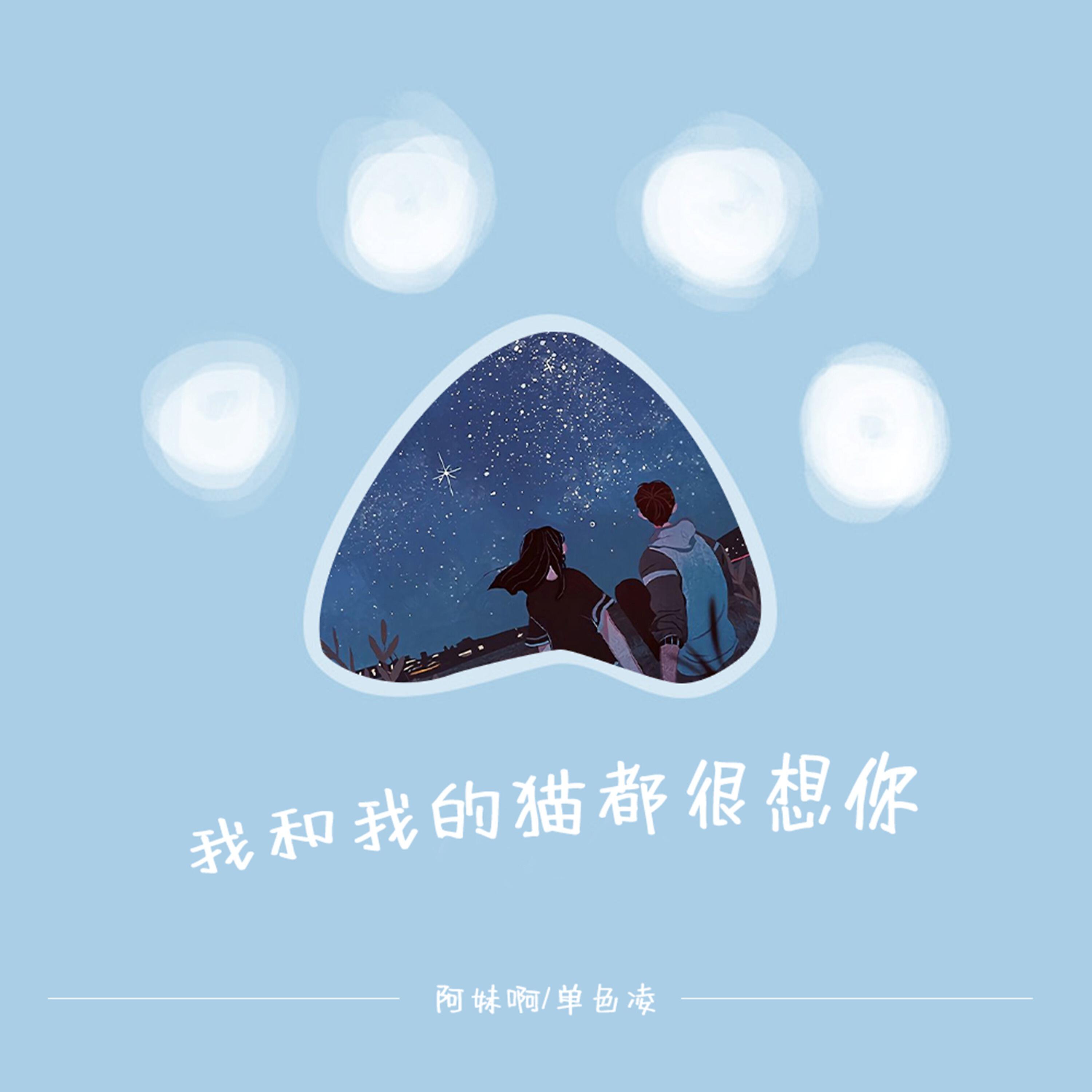 Релиз 我和我的猫都很想你