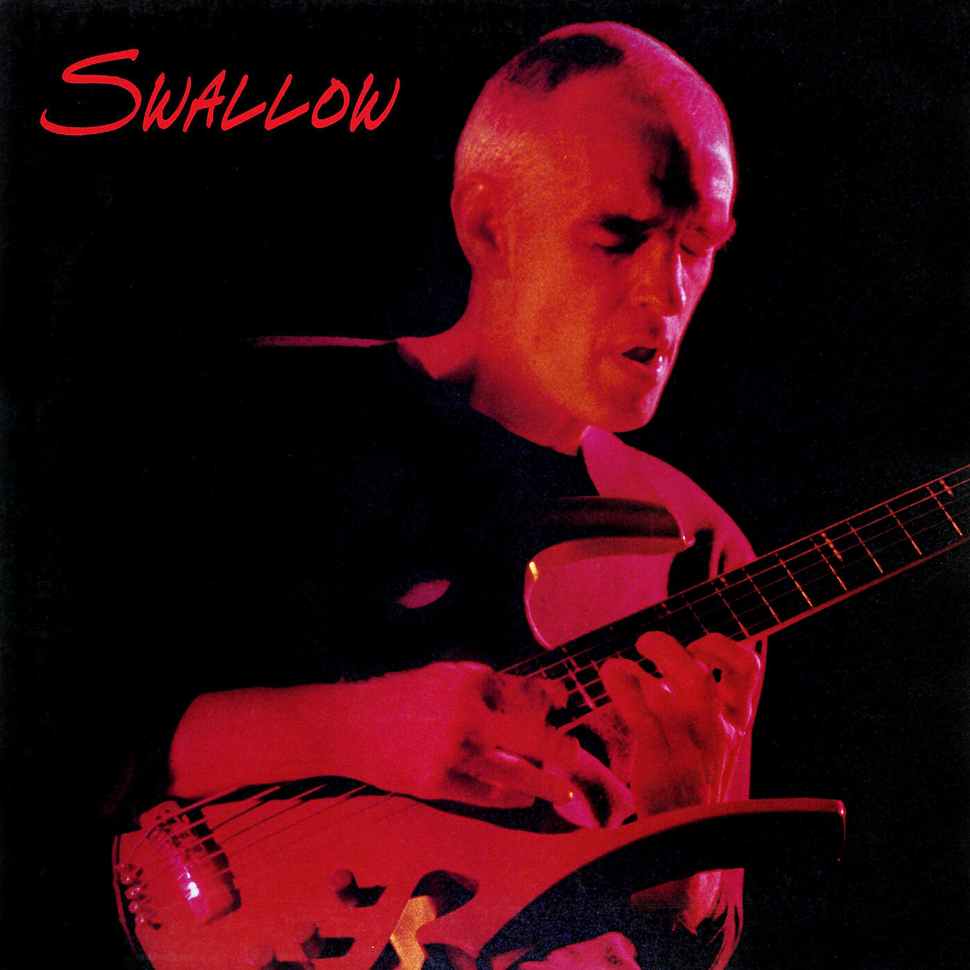 Постер альбома Swallow