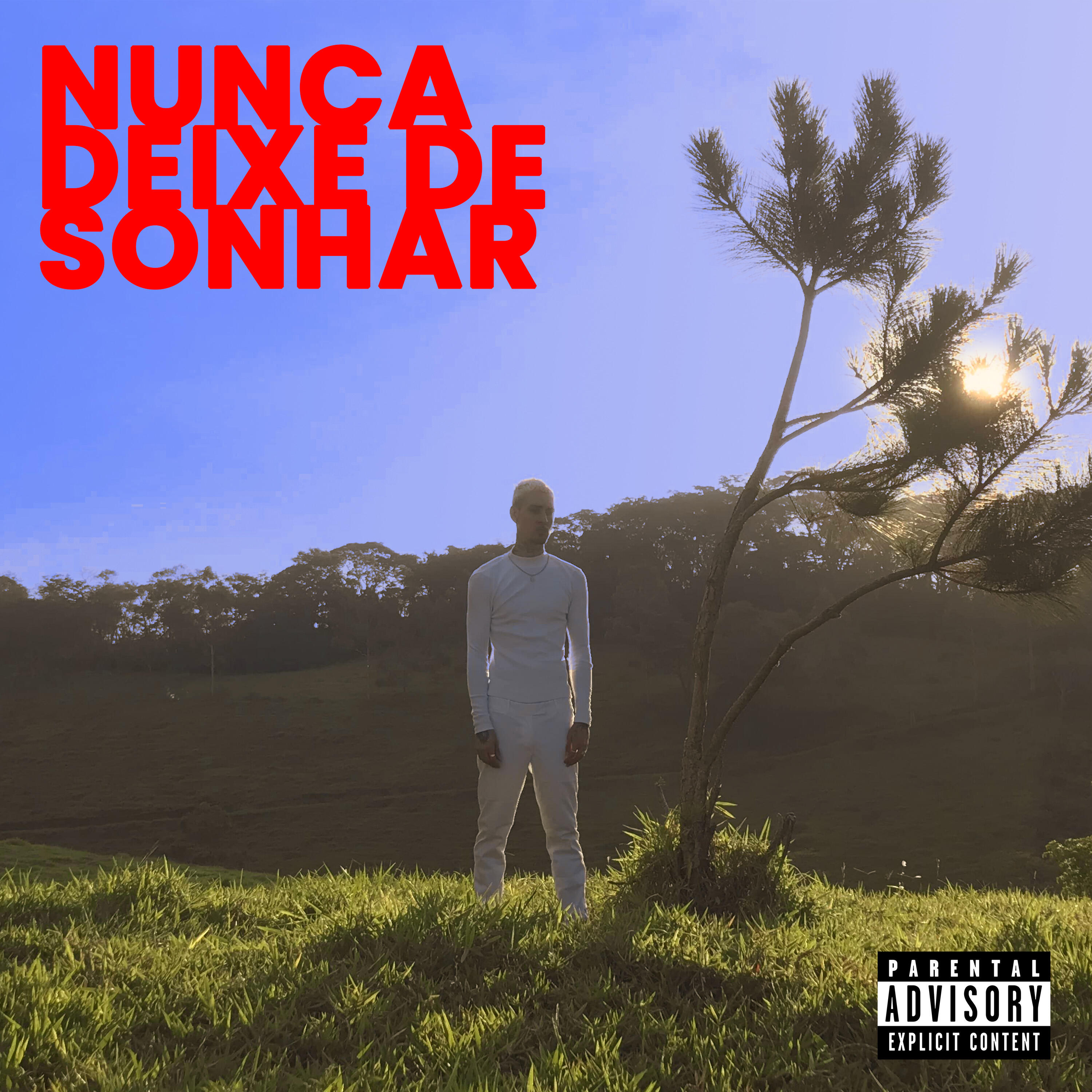 Релиз Nunca Deixe de Sonhar