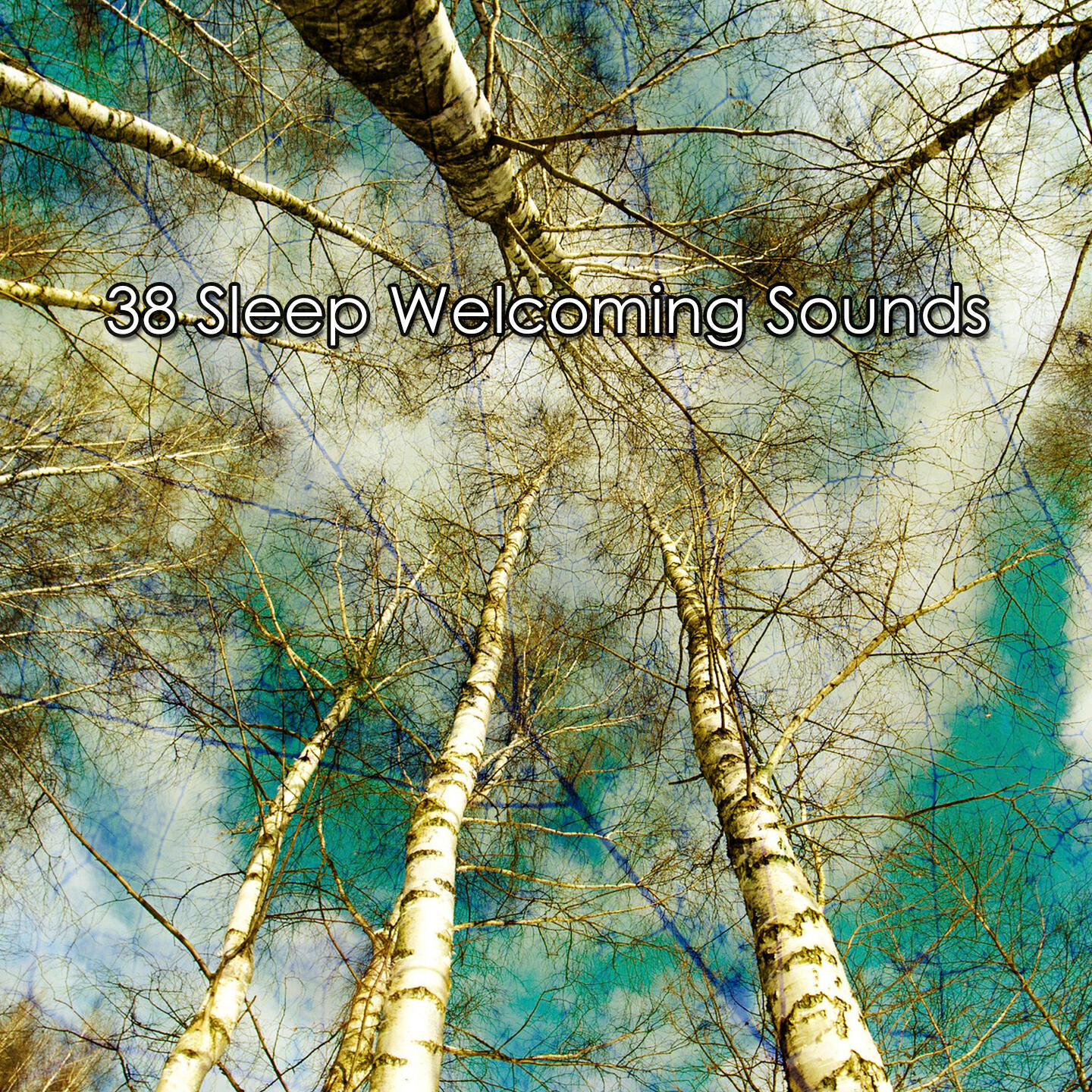 Релиз 38 Sleep Welcoming Sounds