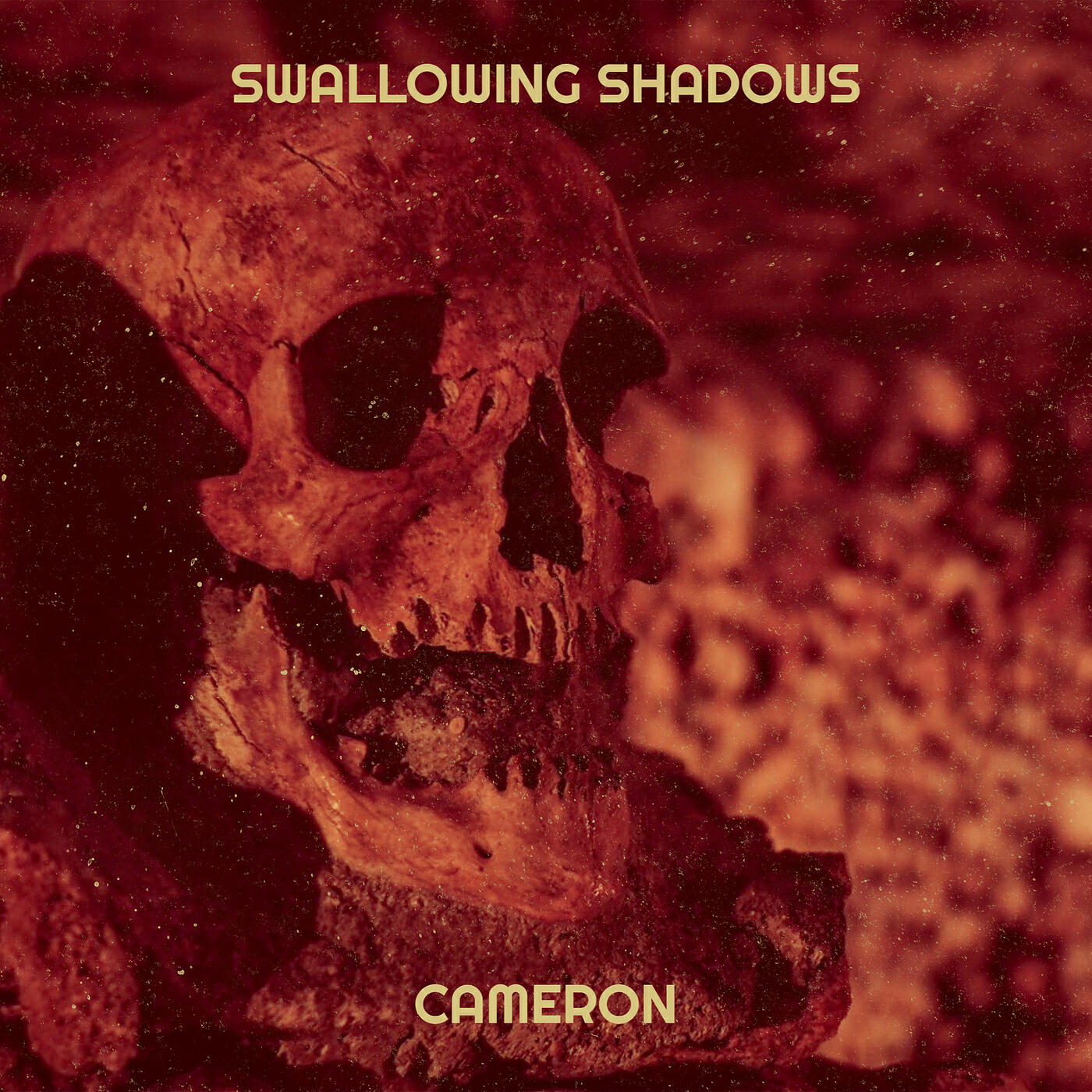 Релиз Swallowing Shadows