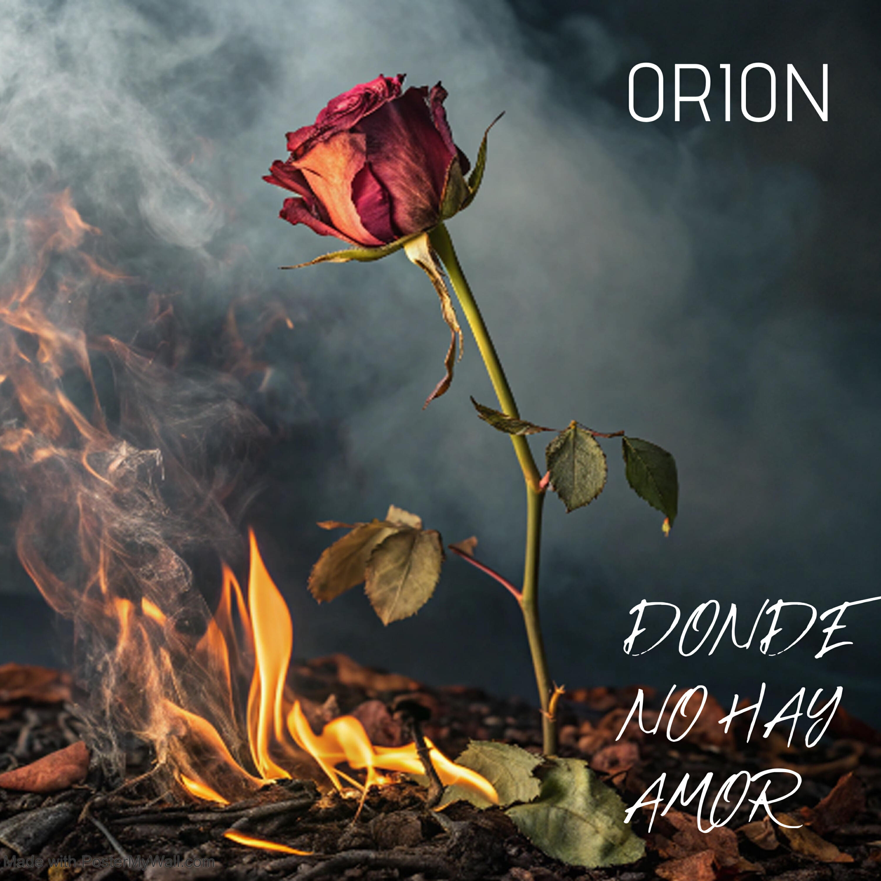 Постер альбома Donde No Hay Amor