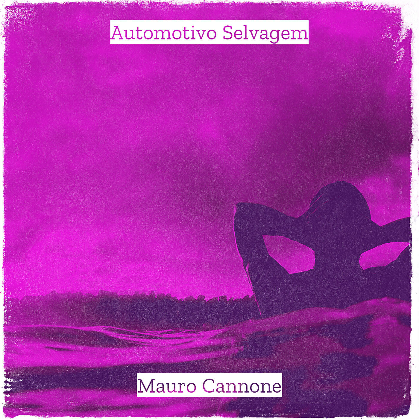 Релиз Automotivo Selvagem