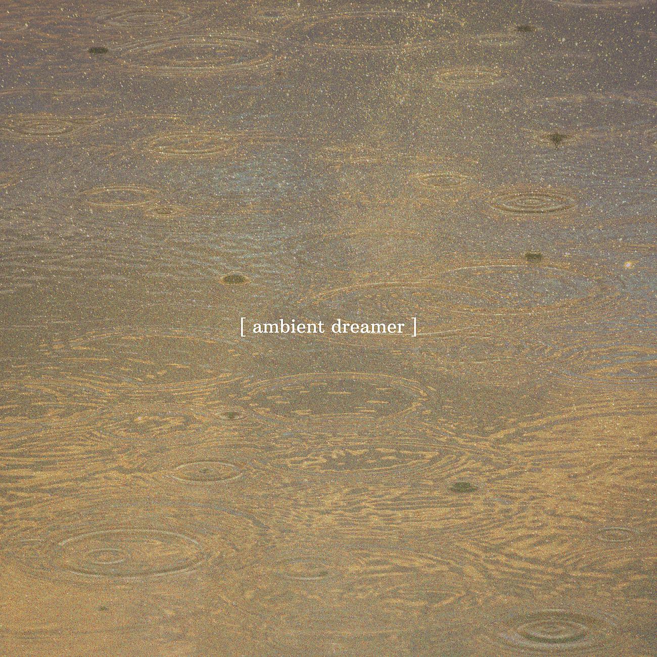 Релиз Rain in the Fall