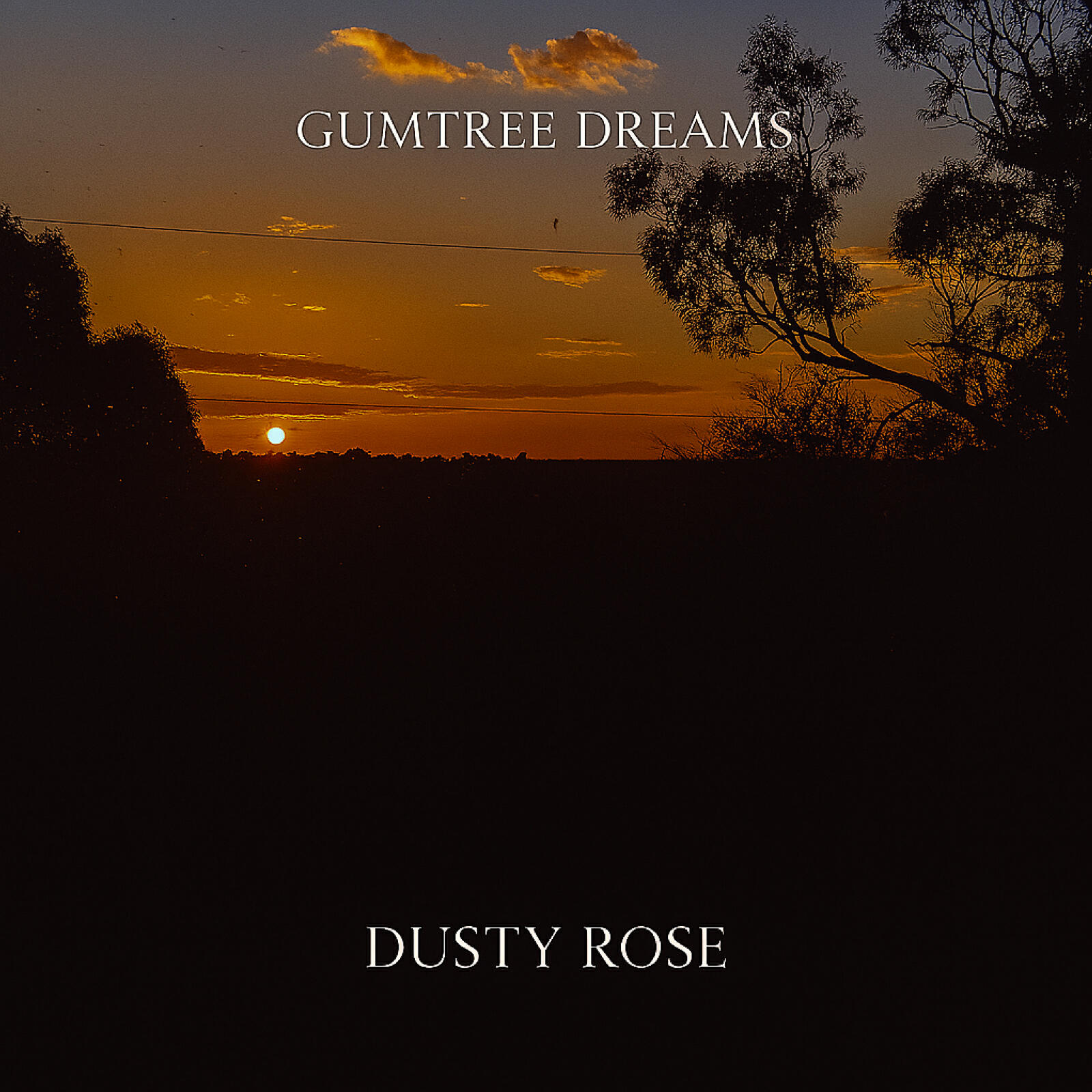 Релиз Gumtree Dreams