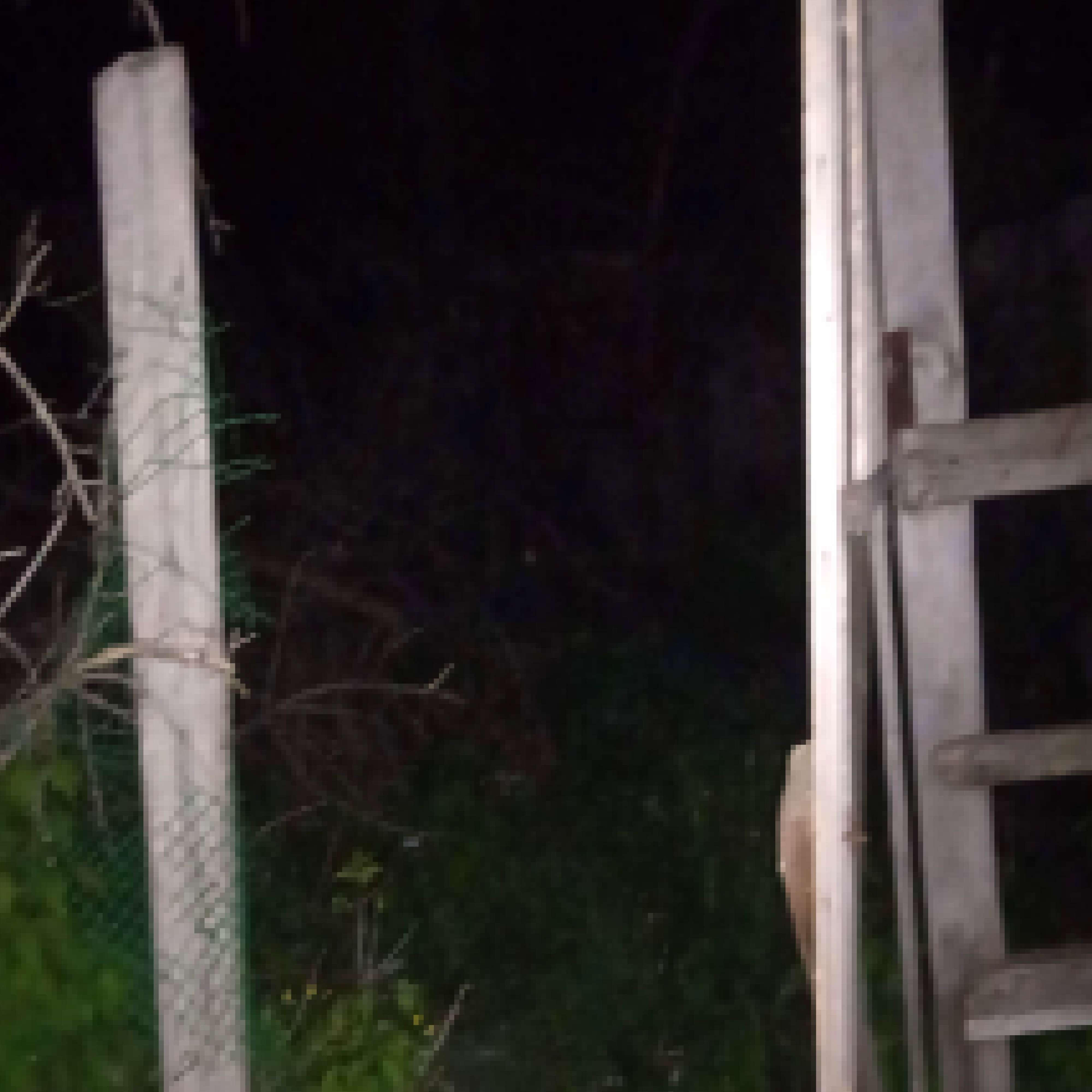 Релиз i cant remember