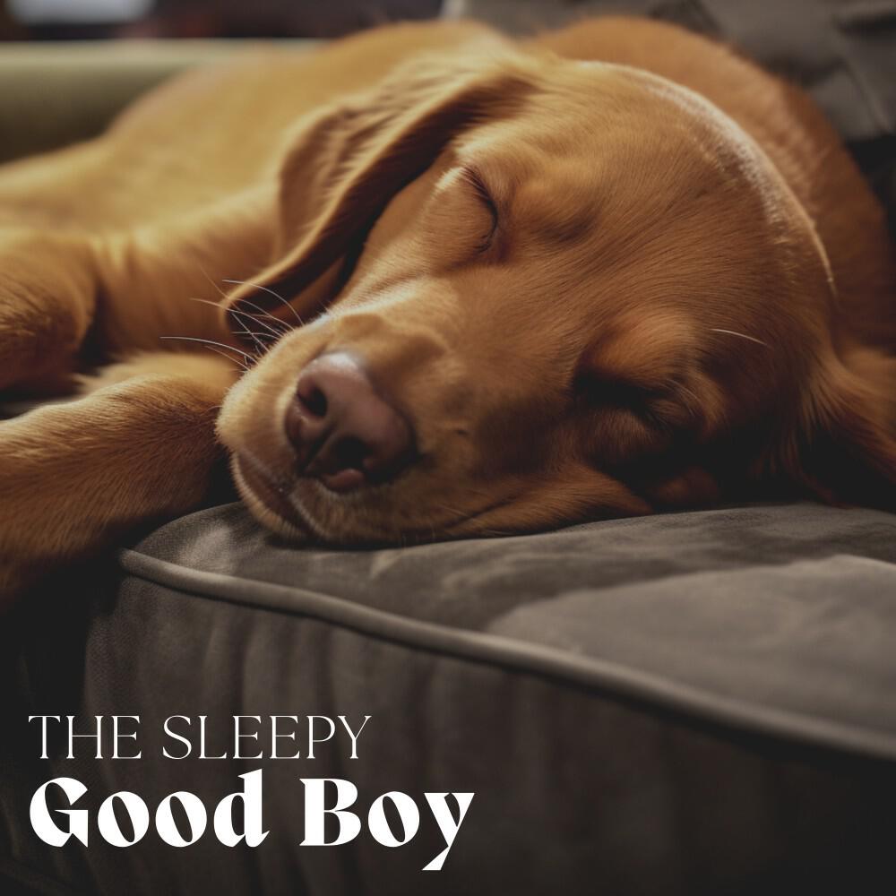 Релиз The Sleepy Good Boy