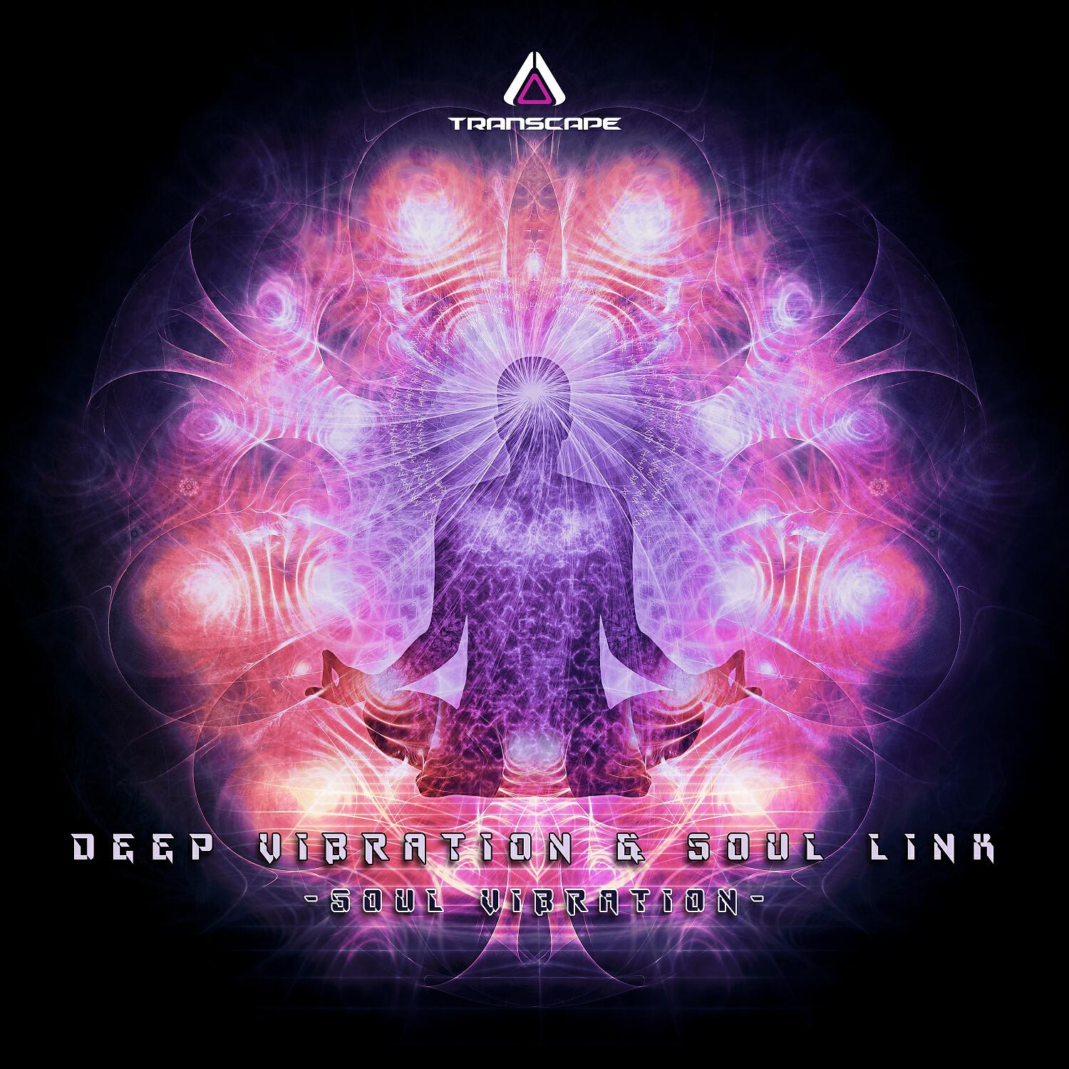Релиз Soul Vibration