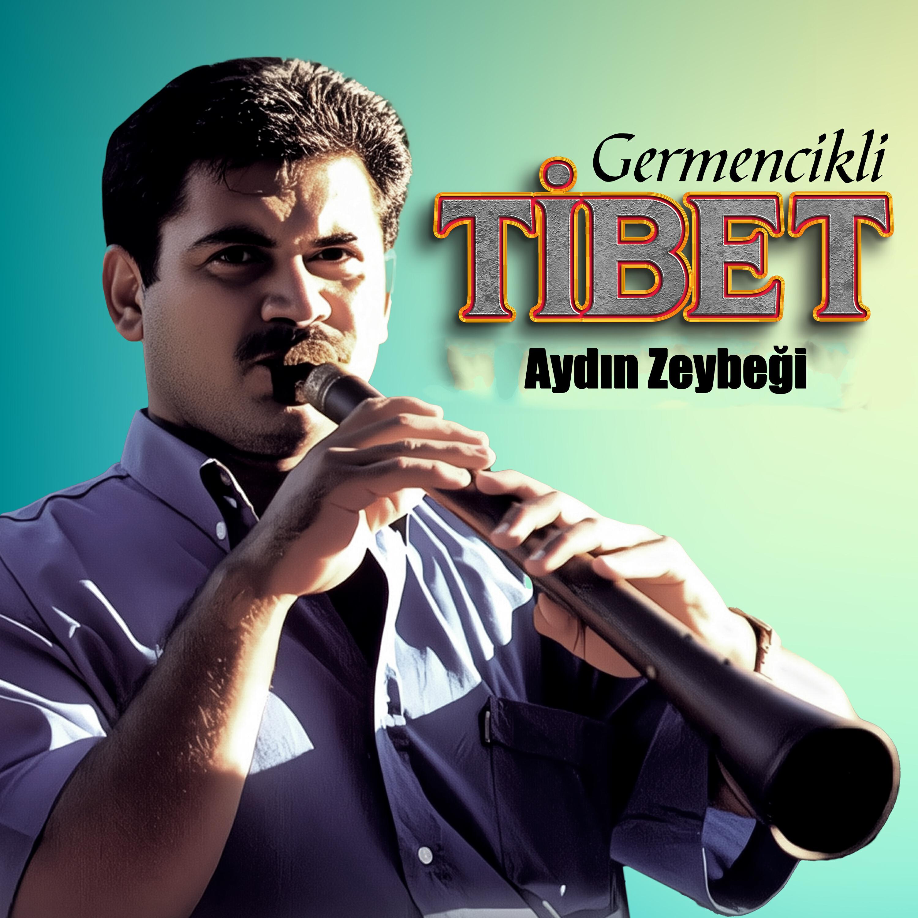 Релиз Aydın Zeybeği