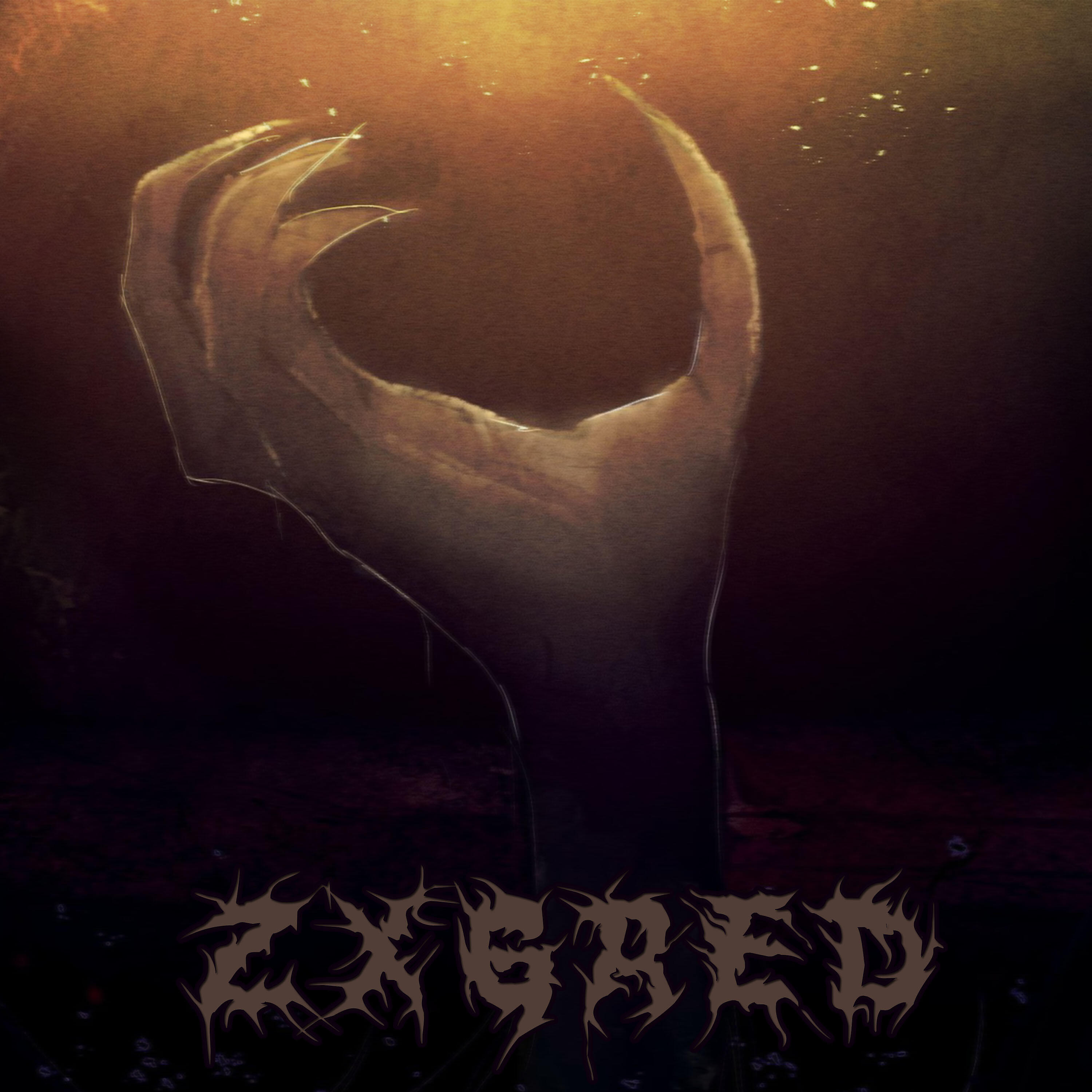 Постер альбома ZXGRED