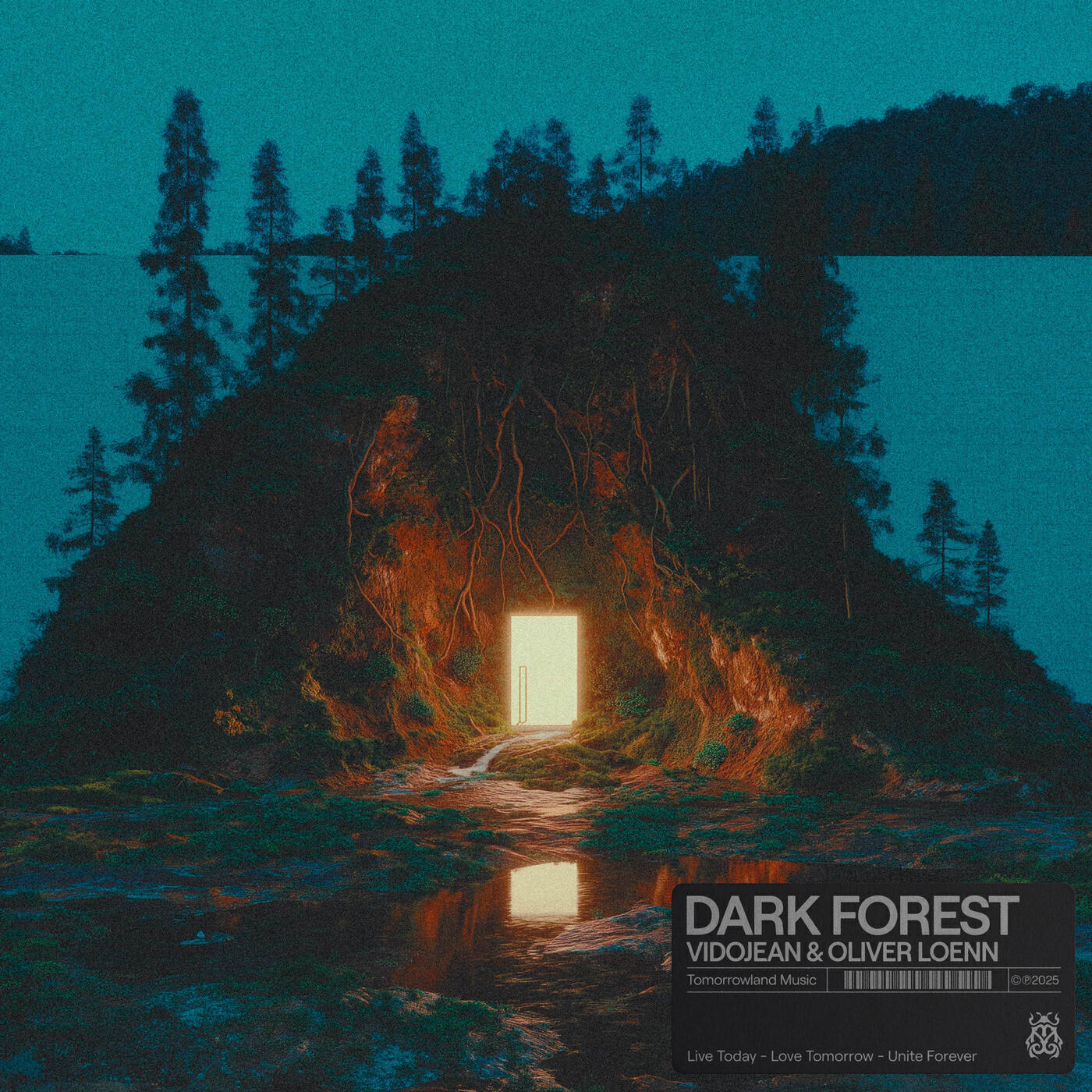 Релиз Dark Forest