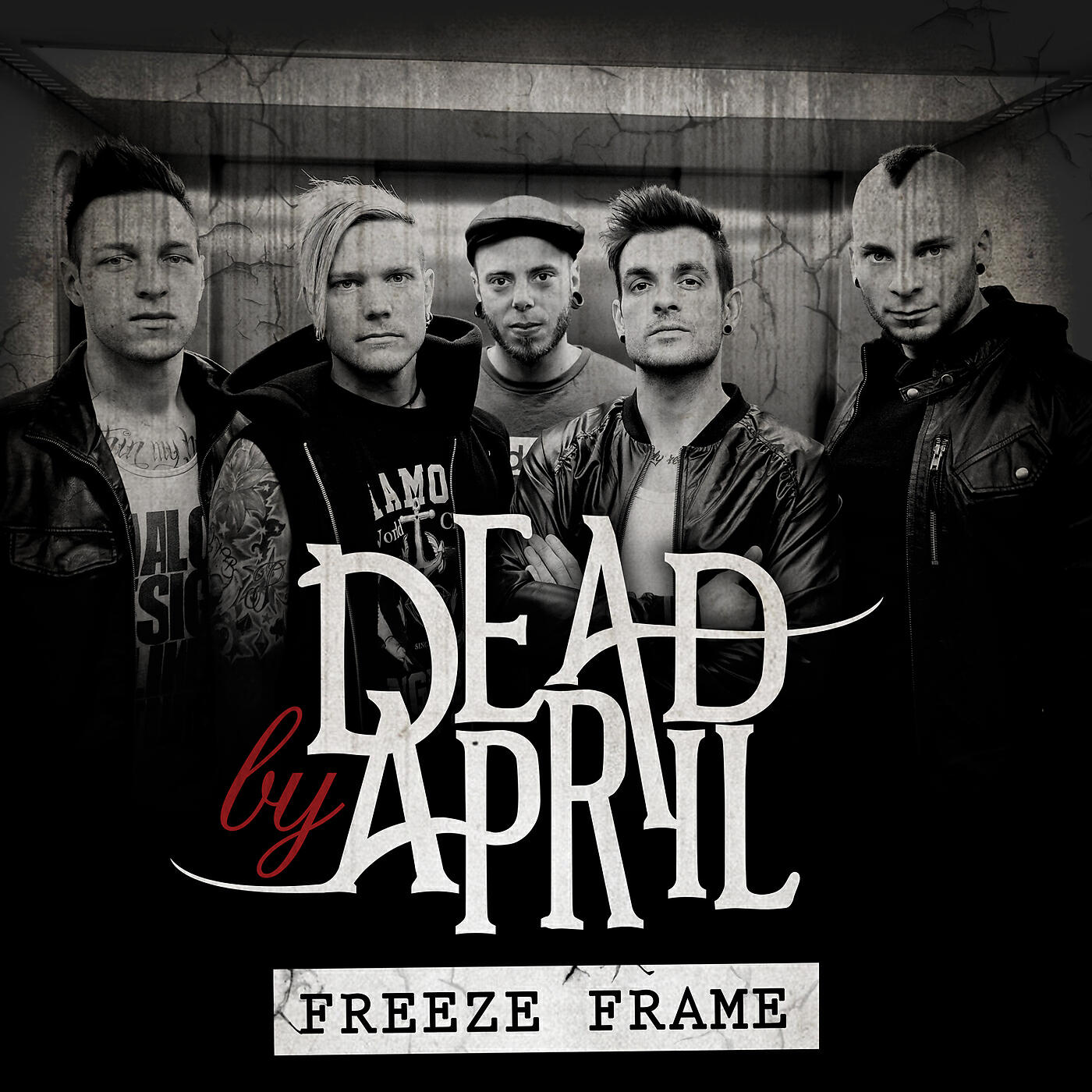 Релиз Freeze Frame