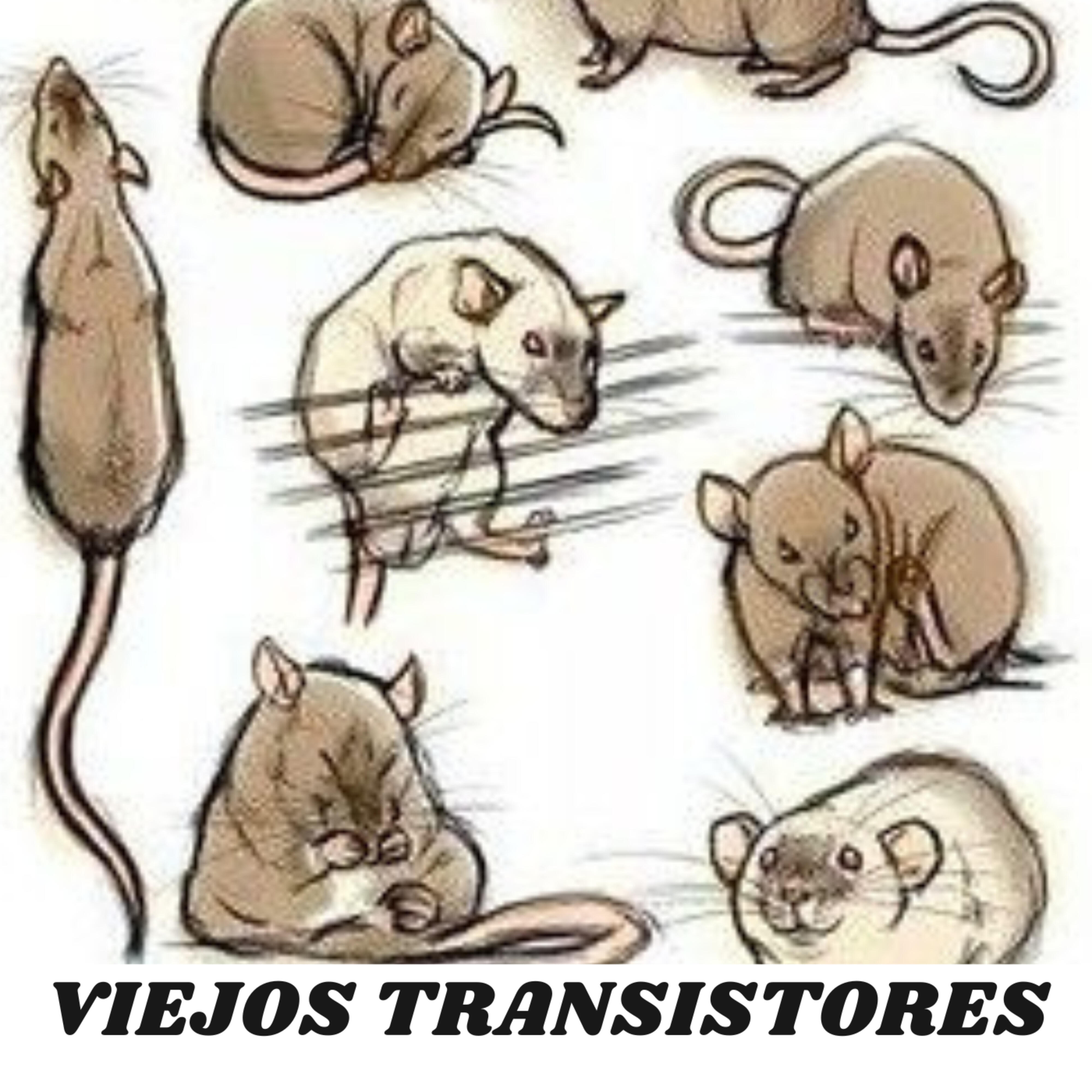 Релиз Viejos Transistores
