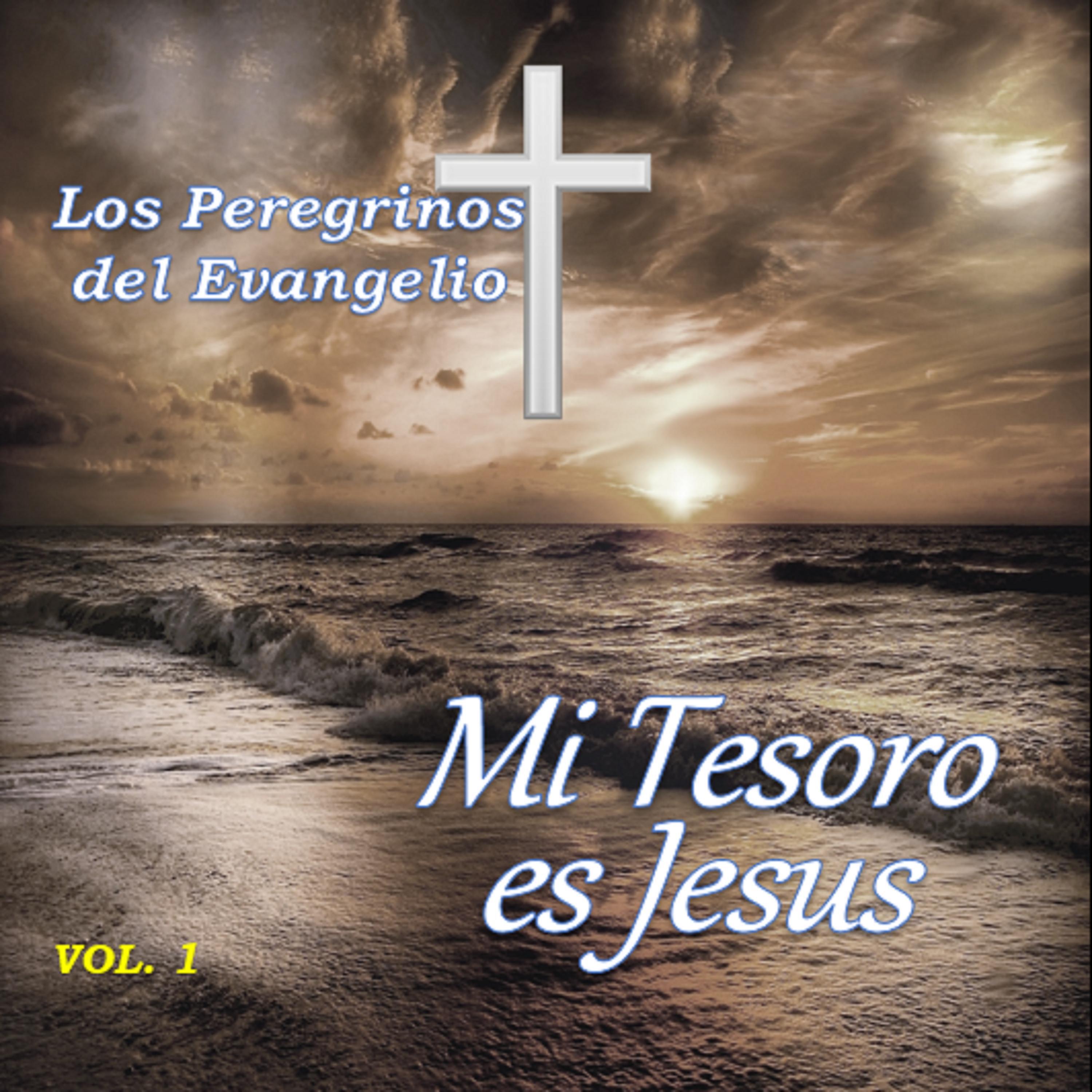 Los Peregrinos Del Evangelio