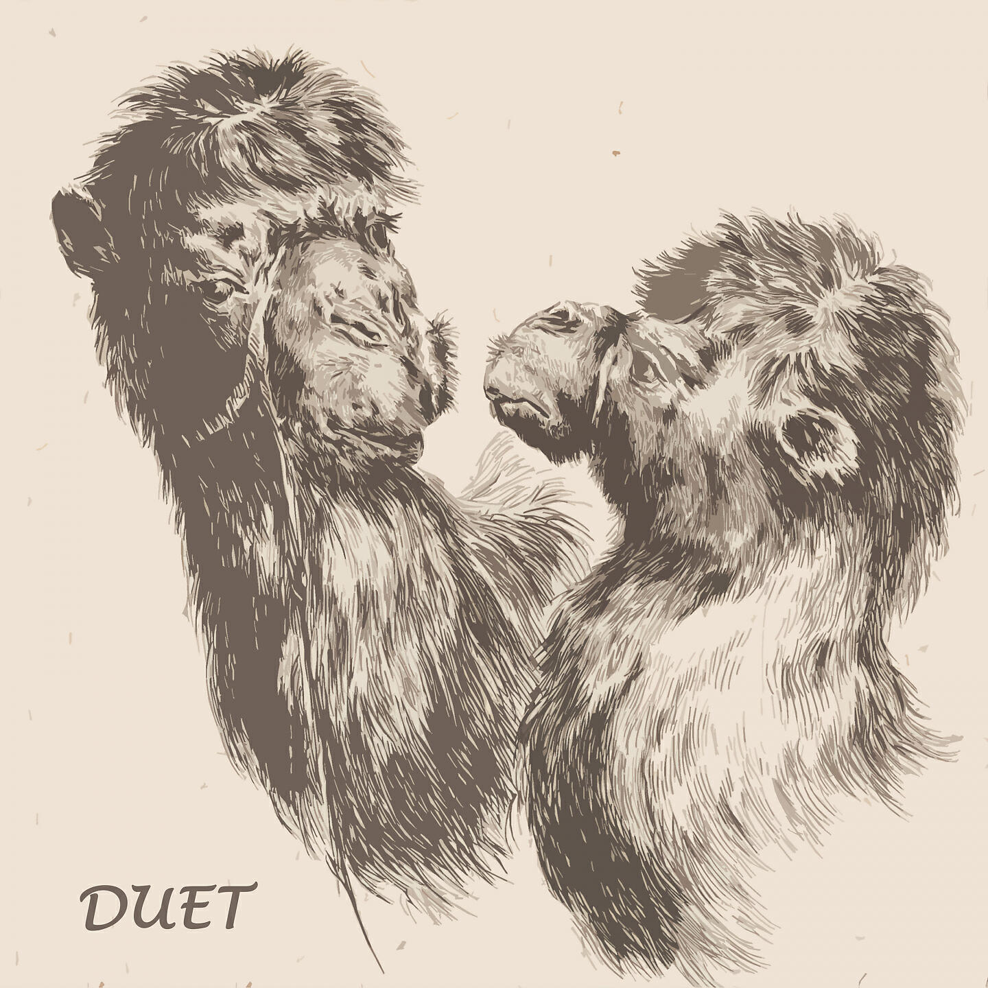 Релиз Duet
