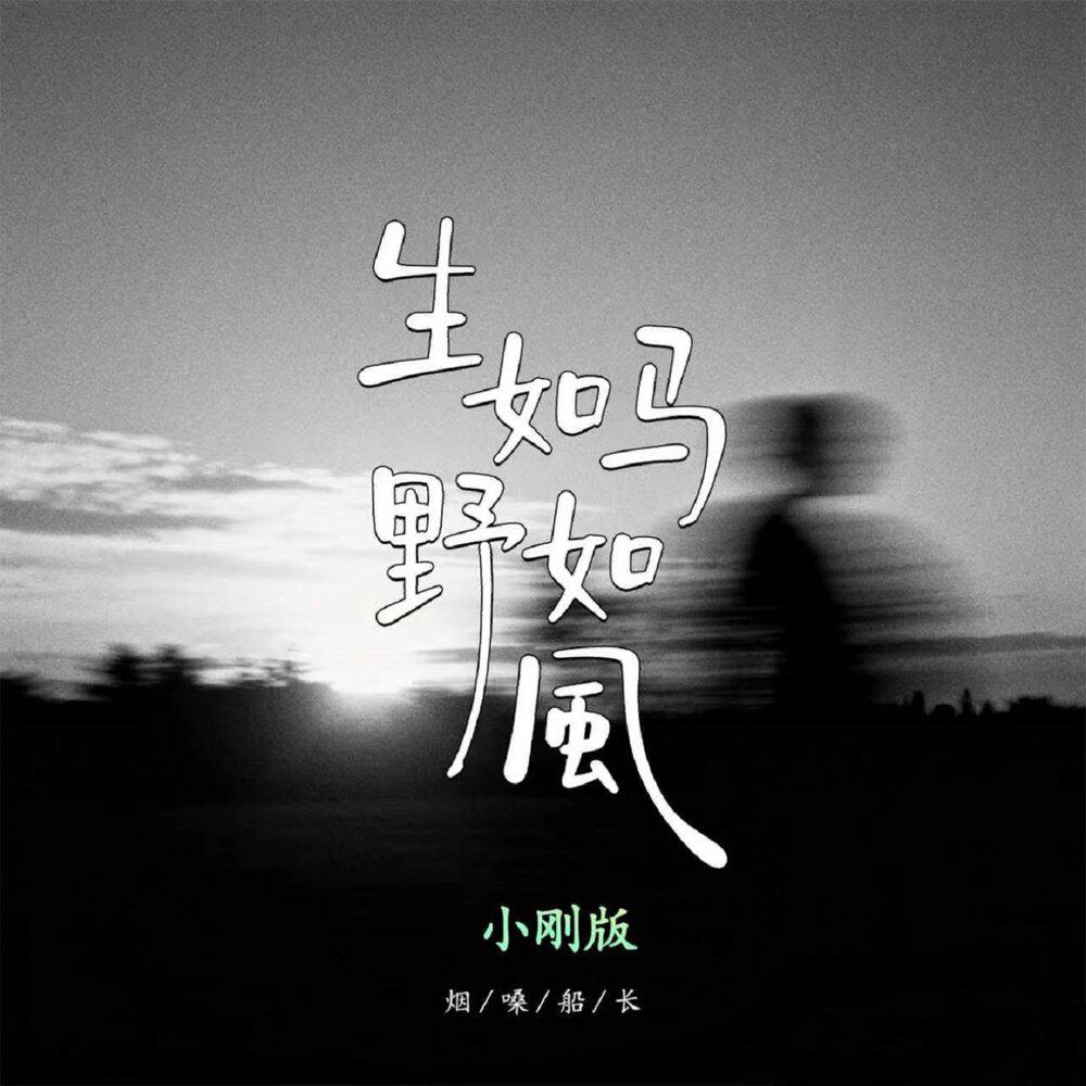 Релиз 生如马 野如风