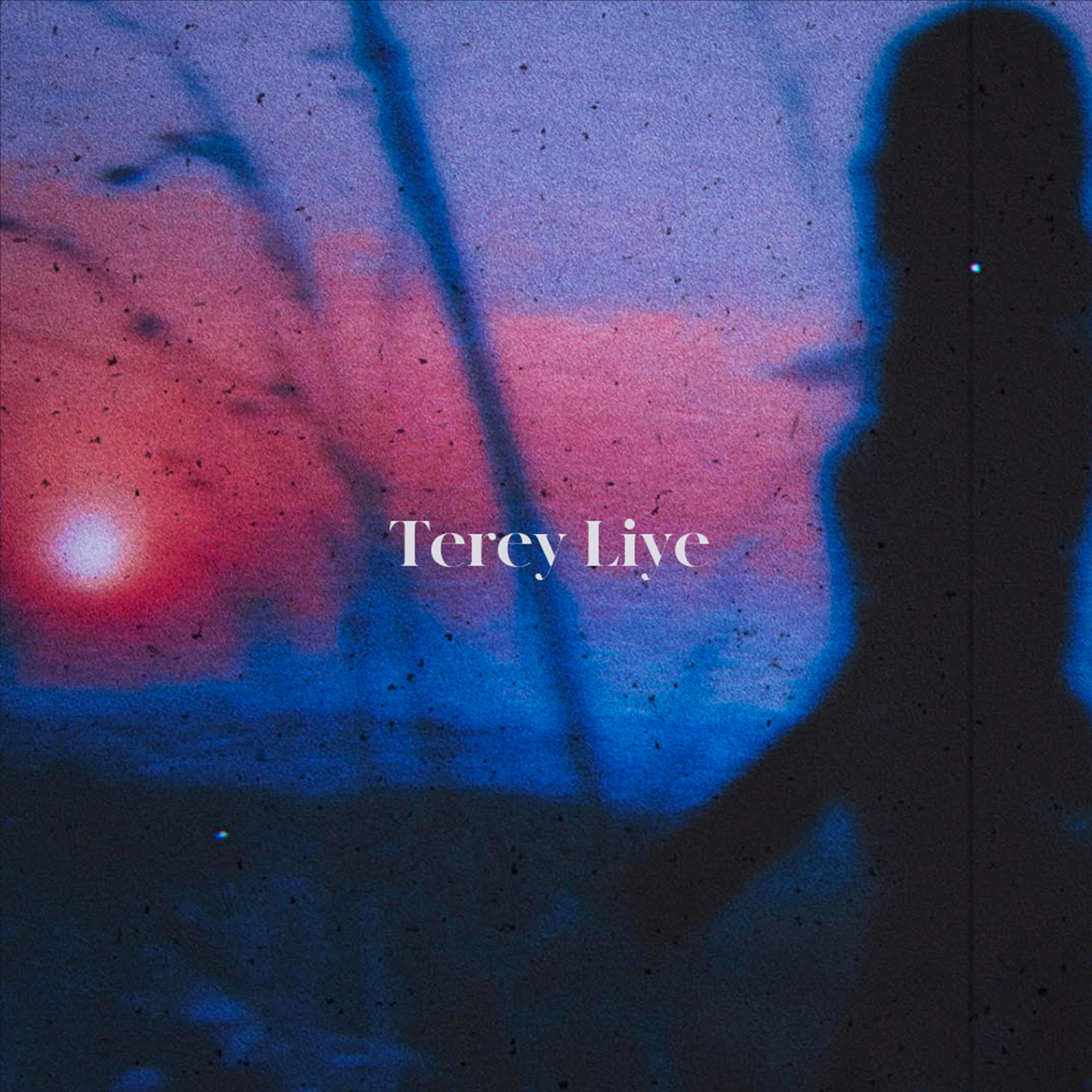 Релиз Terey Liye