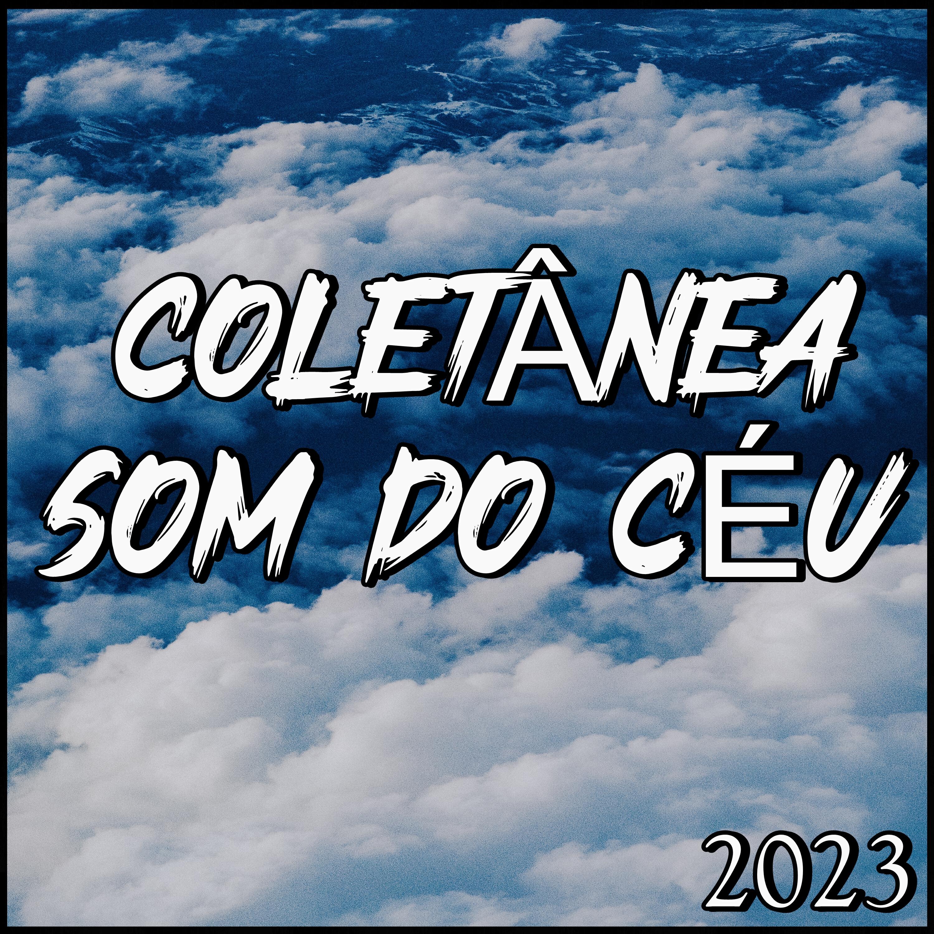 Альбом Coletânea Som do Céu исполнителя Various Artists