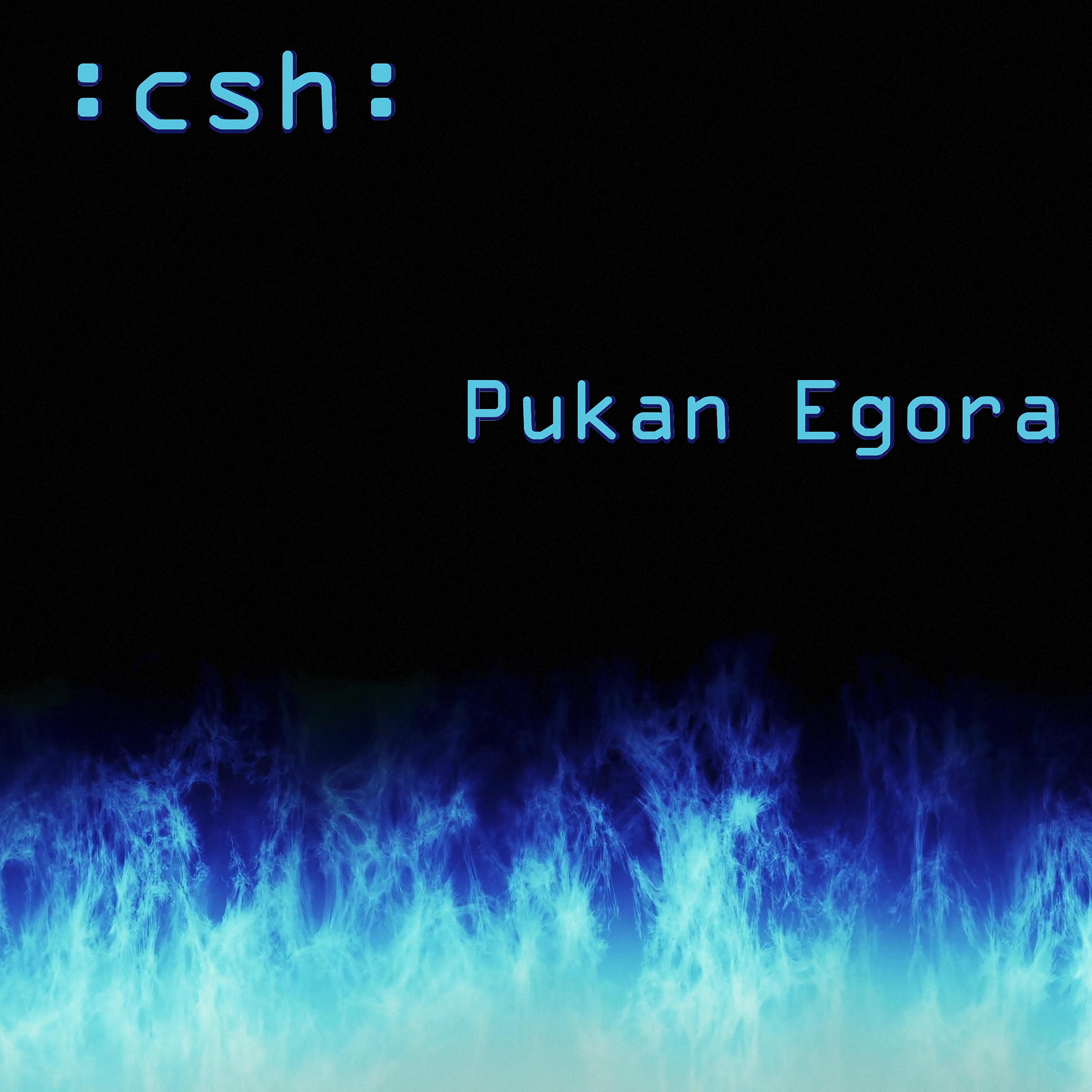 Релиз Pukan Egora