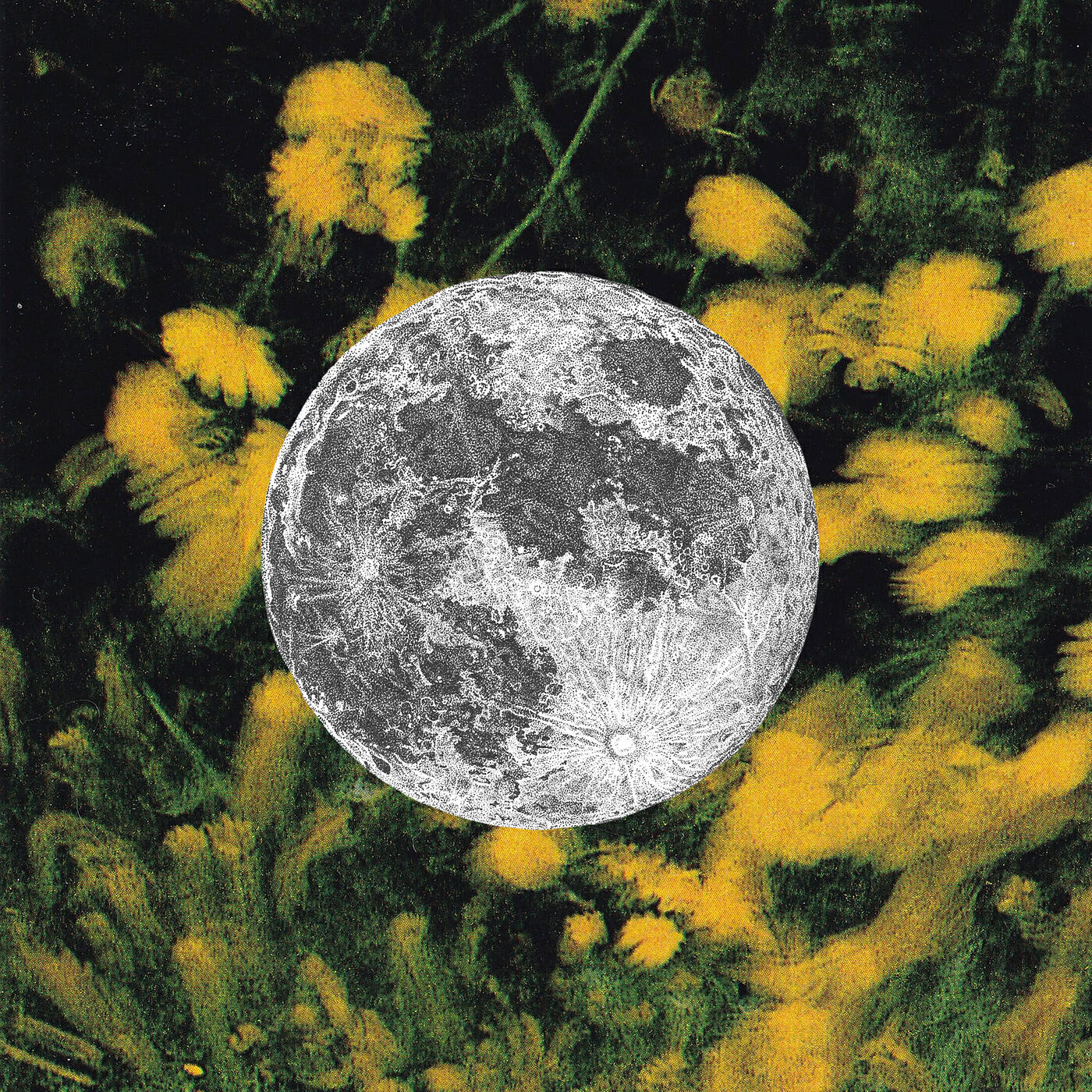 Релиз All-Nighter (Squirrel Flower Version)