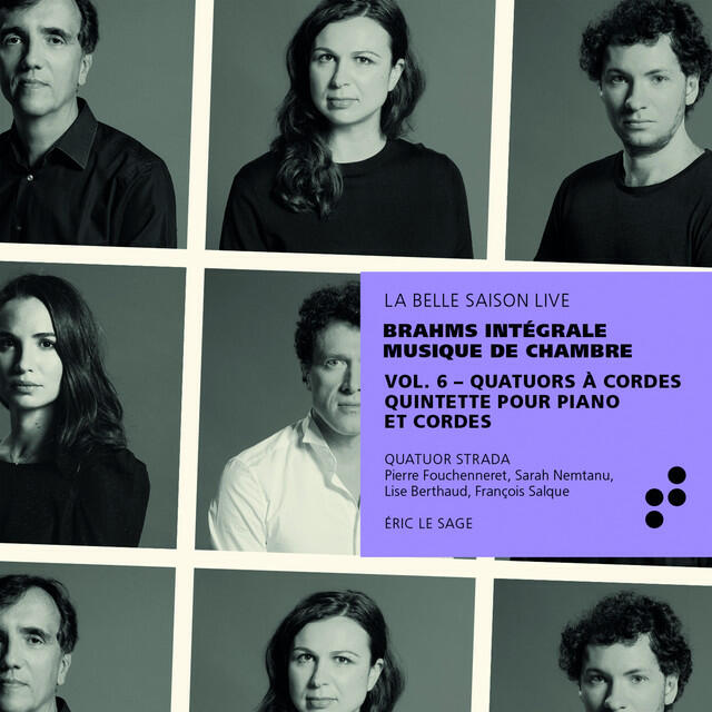 Постер альбома Brahms: Quatuors à cordes, quintette pour piano et cordes (Intégrale musique de chambre), Vol. 6 [Live]