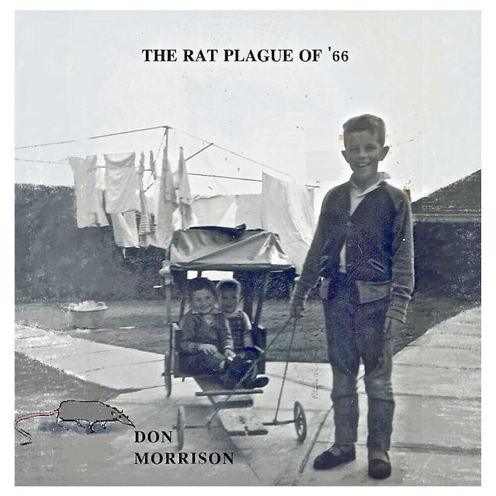 Don Morrison