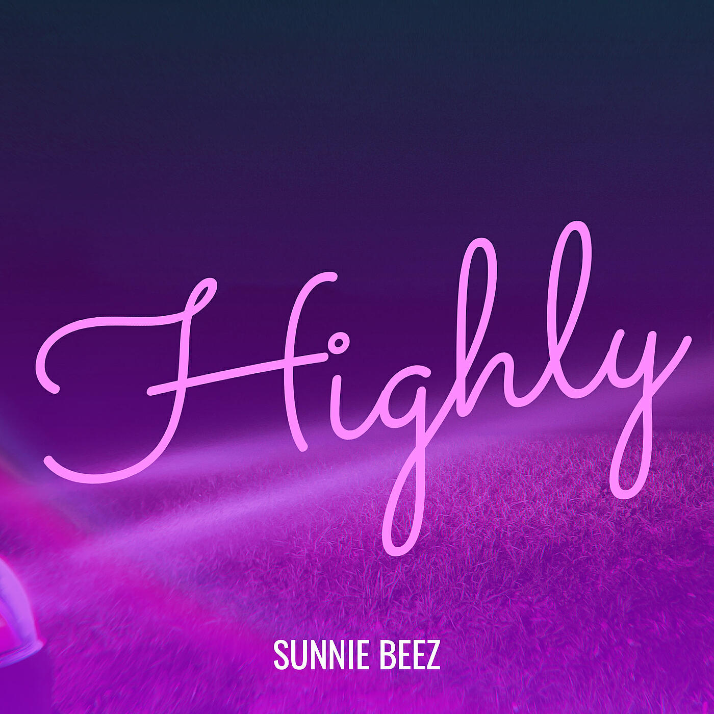 Sunnie Beez