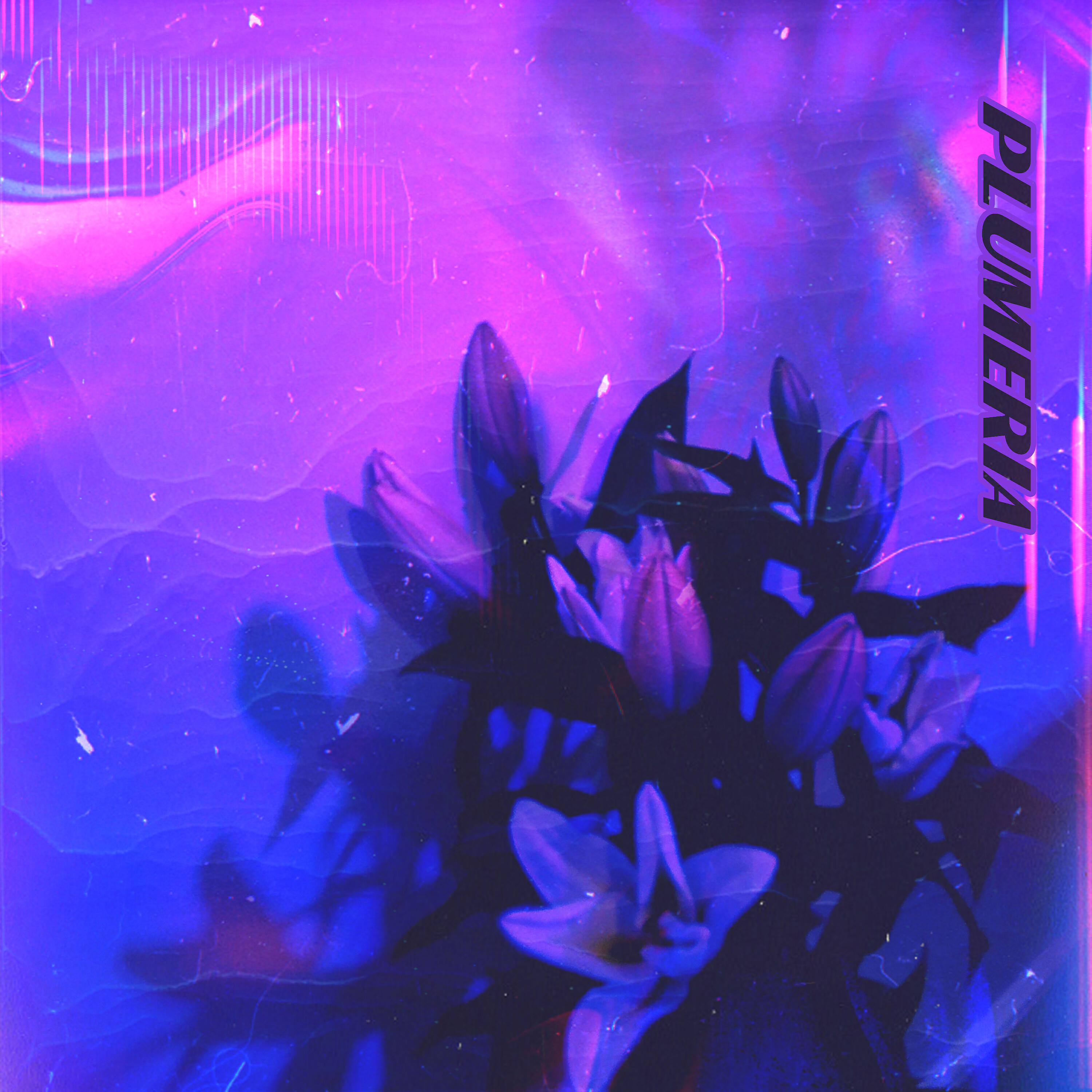 Релиз Plumeria